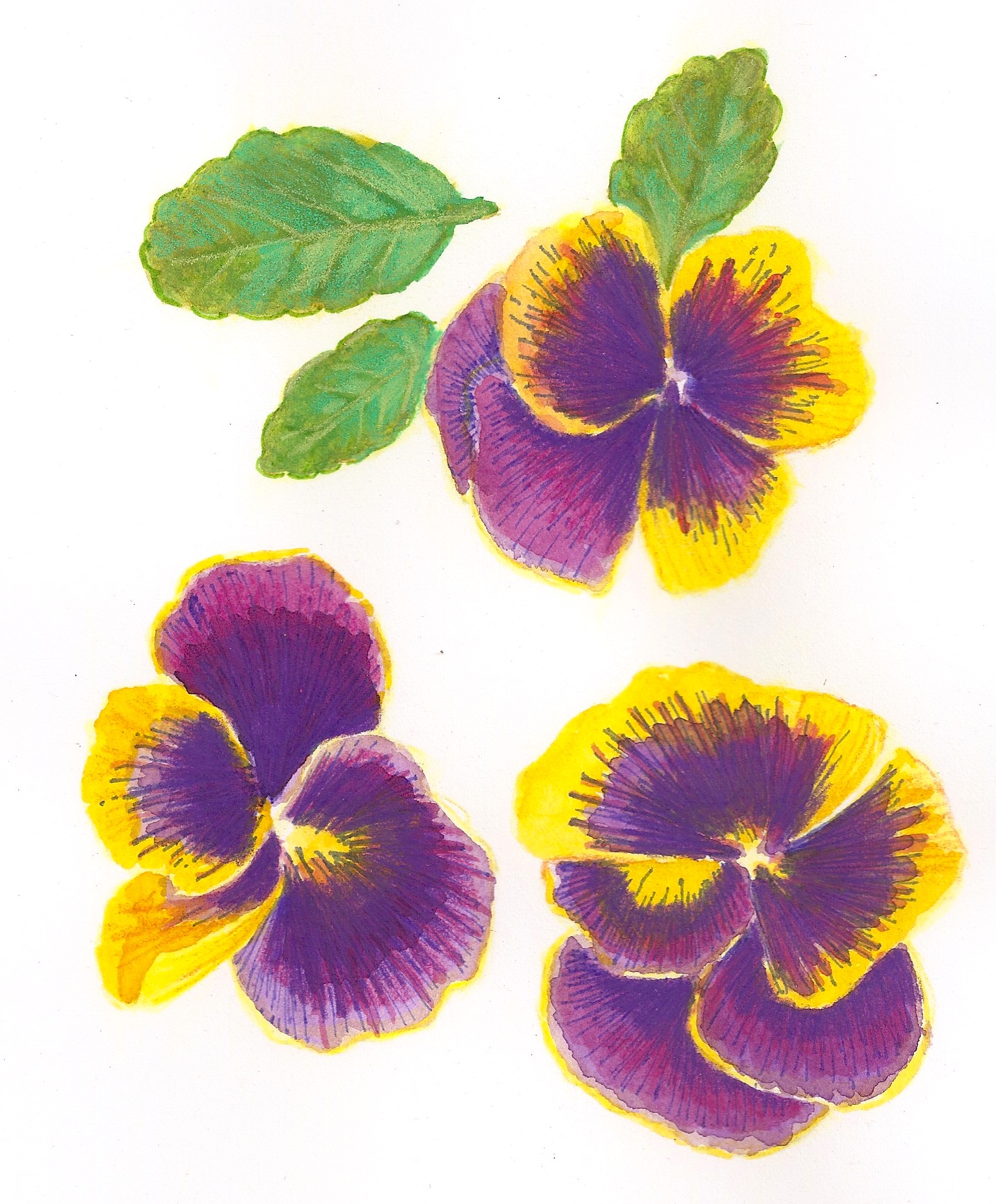 Yup, I’ve painted florals in my day. © 2017 Alyson Toone All Rights Reserved