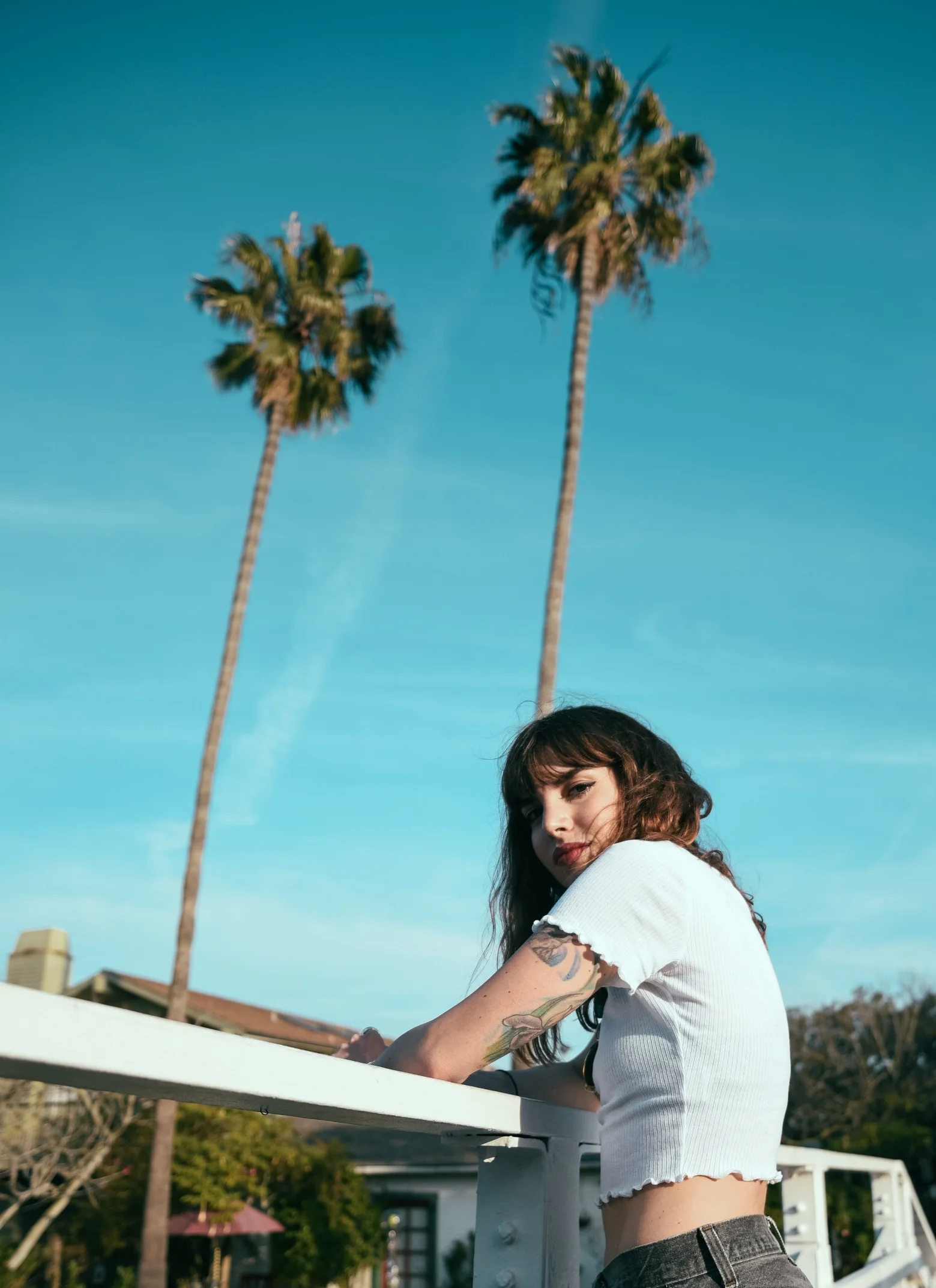 untitled (1 of 1)-8.jpg