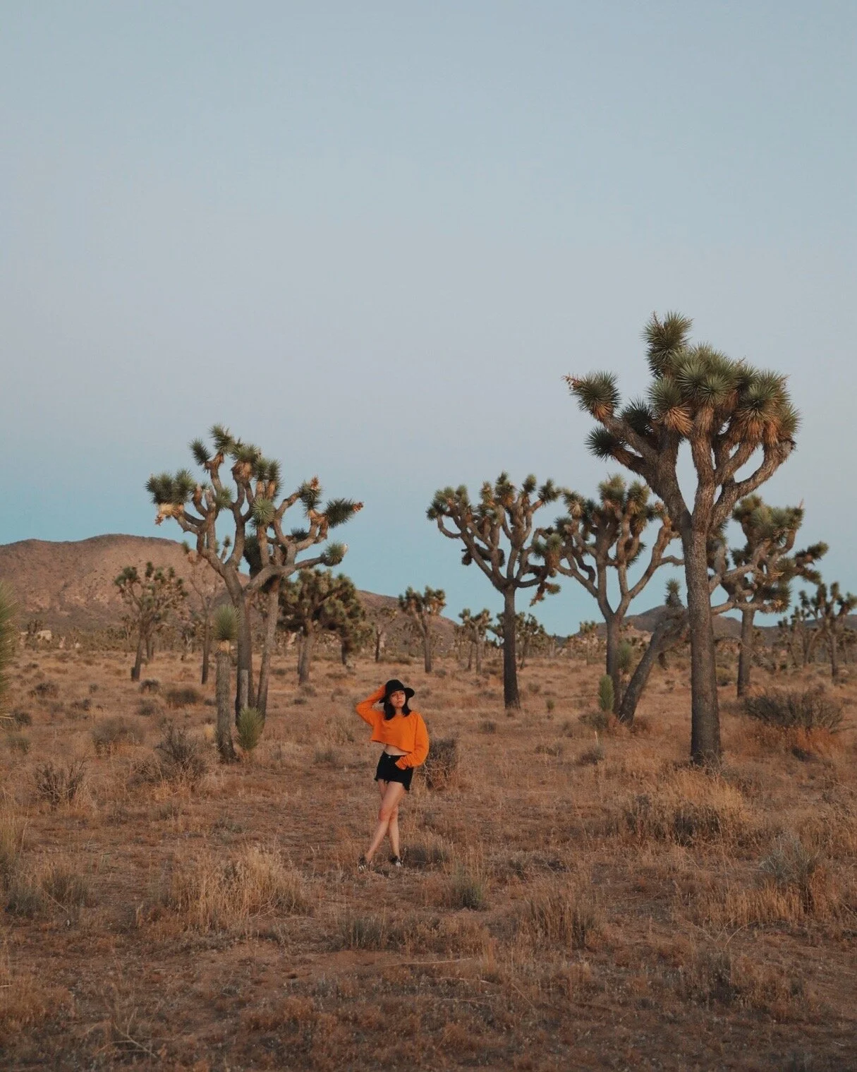 Photo Jul 19, 8 07 02 PM.jpg