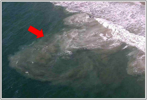 https://www.fire.lacounty.gov/lifeguard/rip-currents/