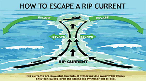 https://www.fire.lacounty.gov/lifeguard/rip-currents/
