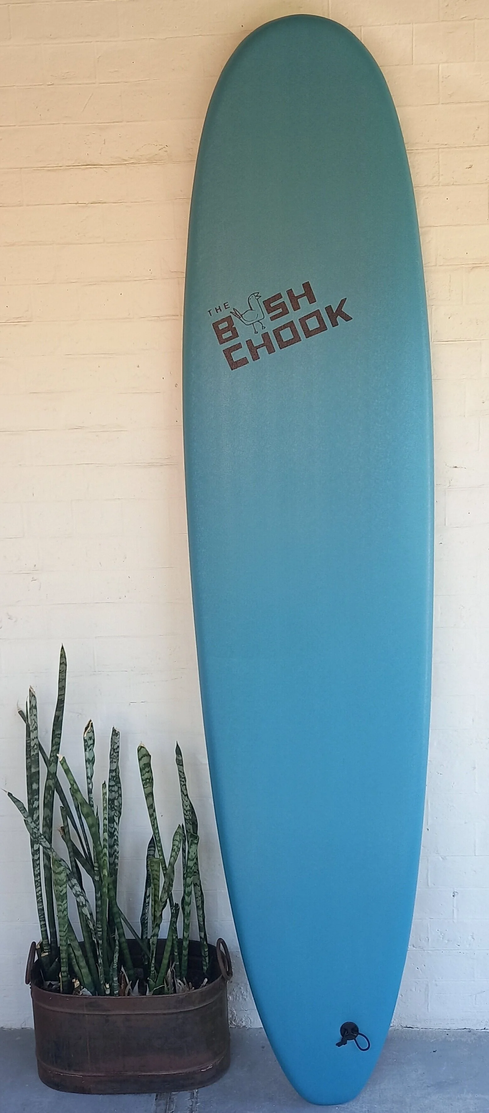 8 Foot Soft Surfboard PURF The Bush Chook Surf Lessons In Perth