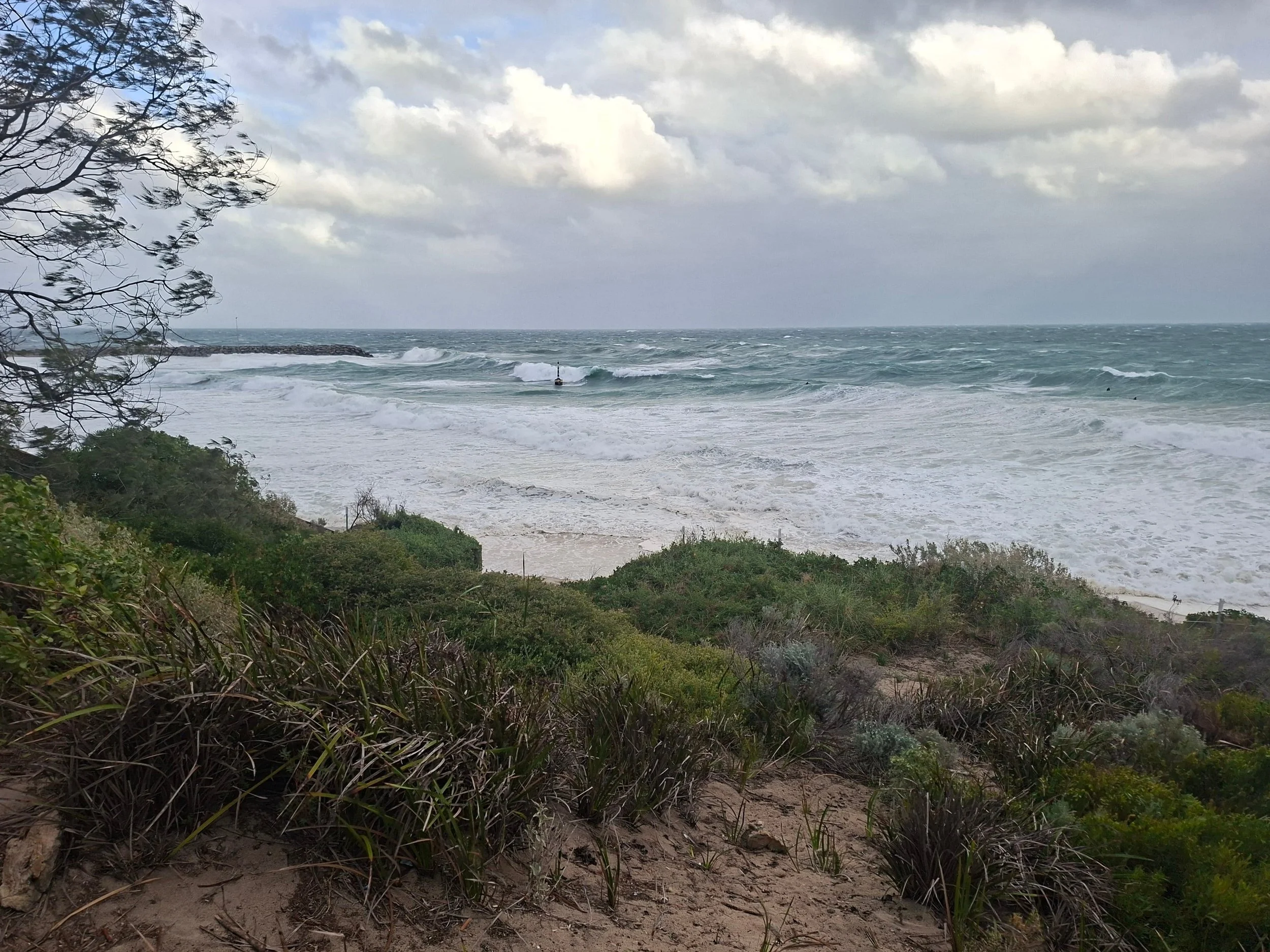 Cottesloe beach taking a hammering during the may 2026 storm — winds strong enough to bend the trees, swell pushing well up the beach. This is what a once-in-several-years low-pressure system looks like from the dunes.