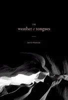 THE WEATHER OF TONGUES by Mags Webster