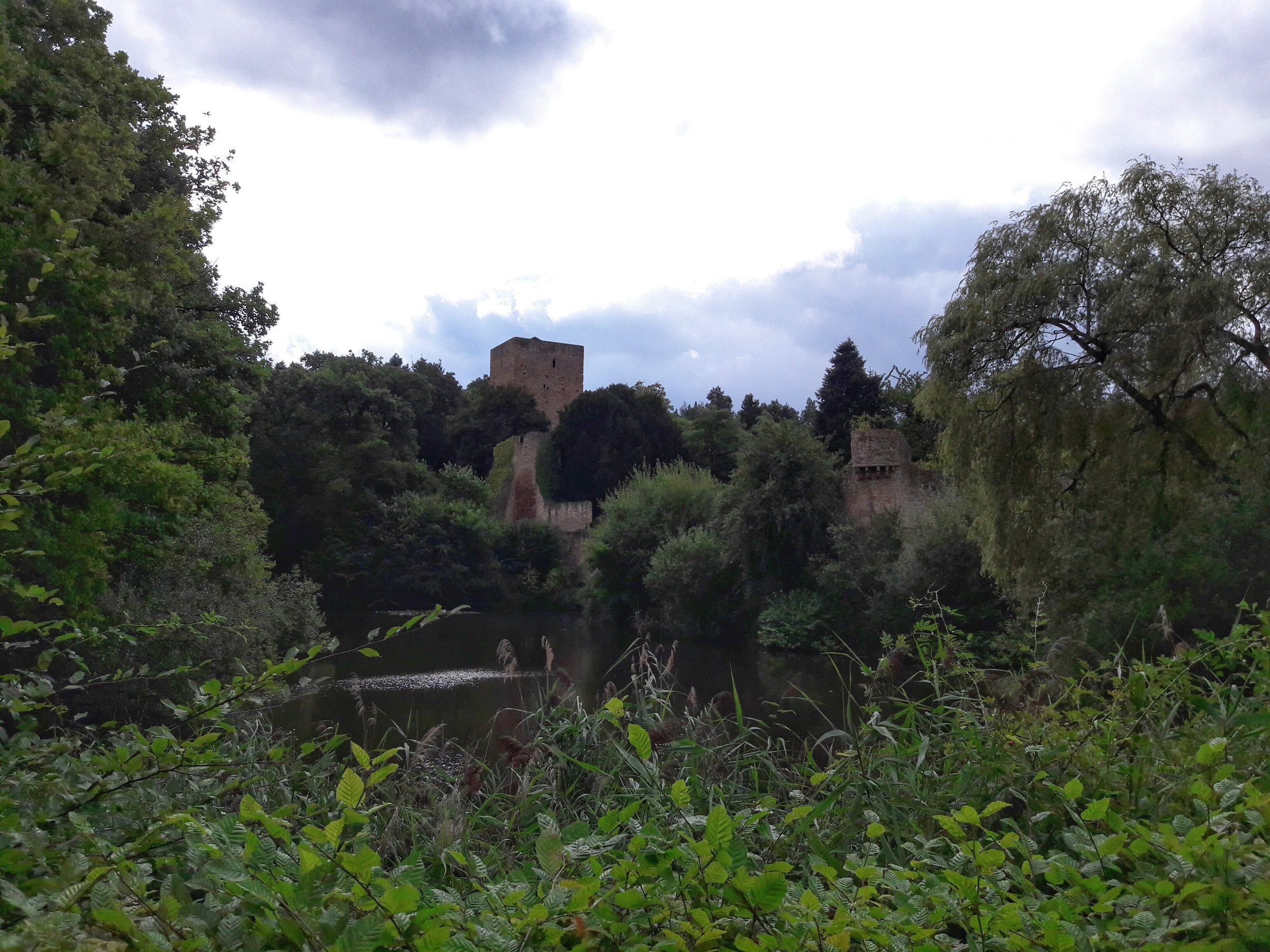 20160905_120106-01.jpeg
