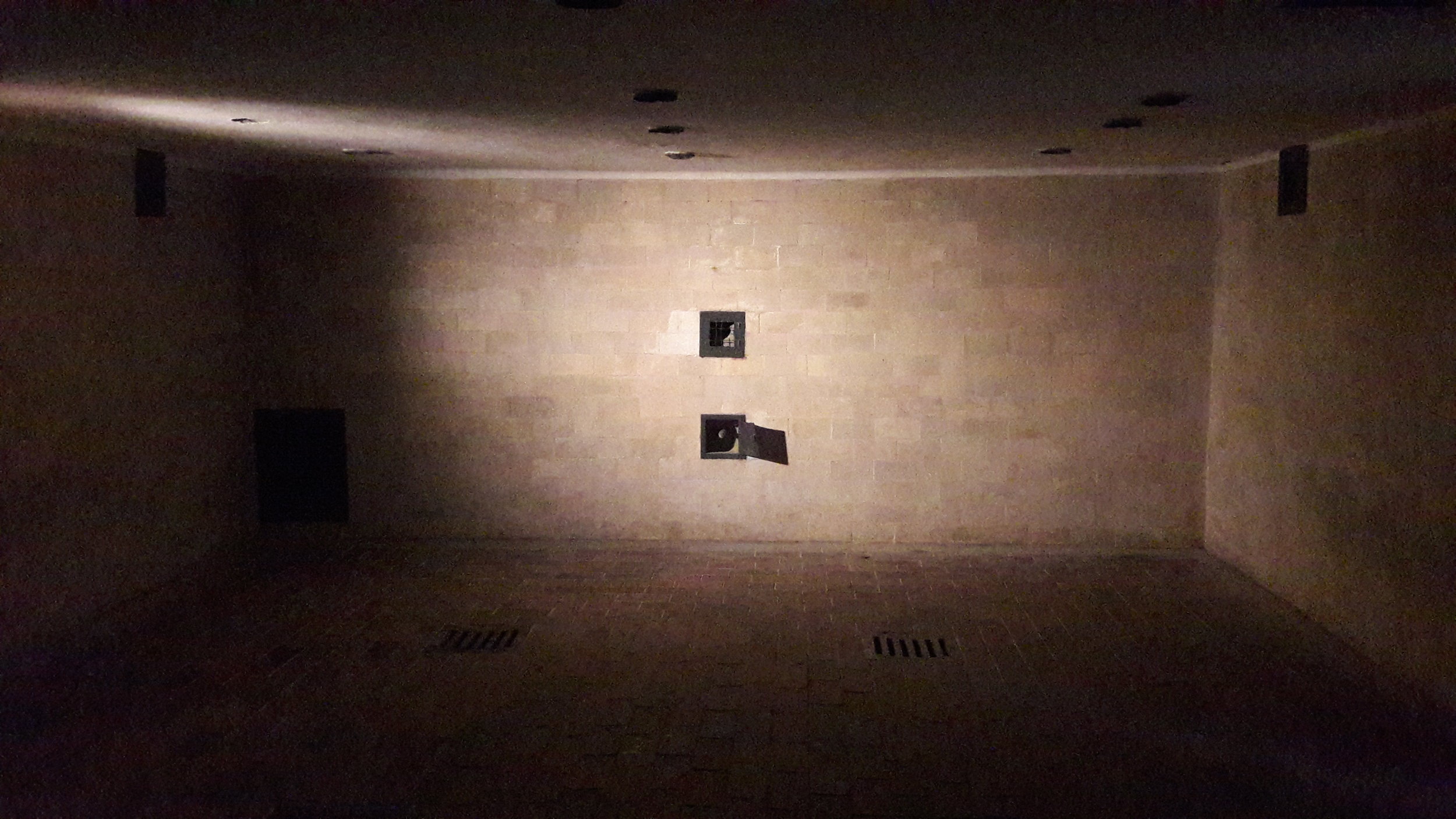 20160919_115348.jpg