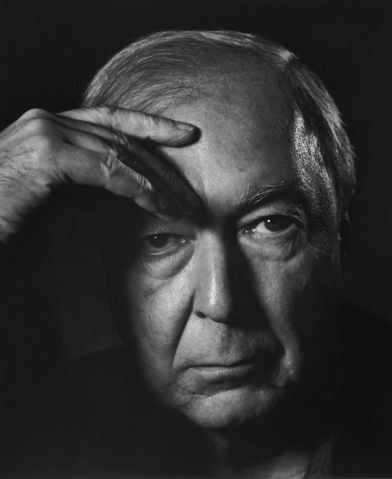 jasper-johns-photograph.jpg