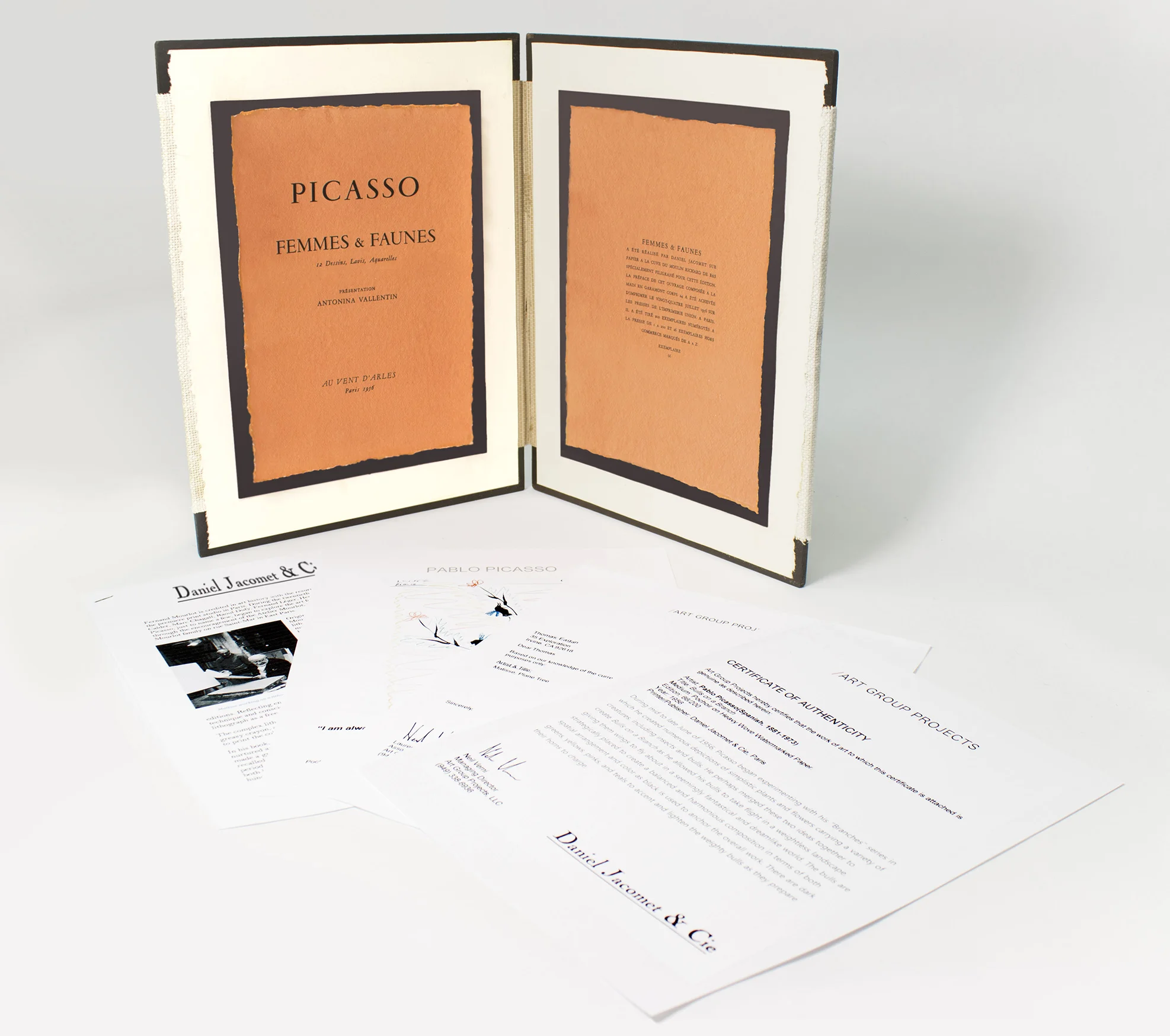 Pablo-Picasso-C-of-A-paperwork-1-web.jpg