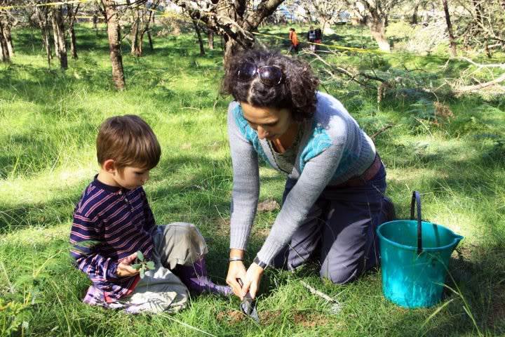 Regrowth Festival