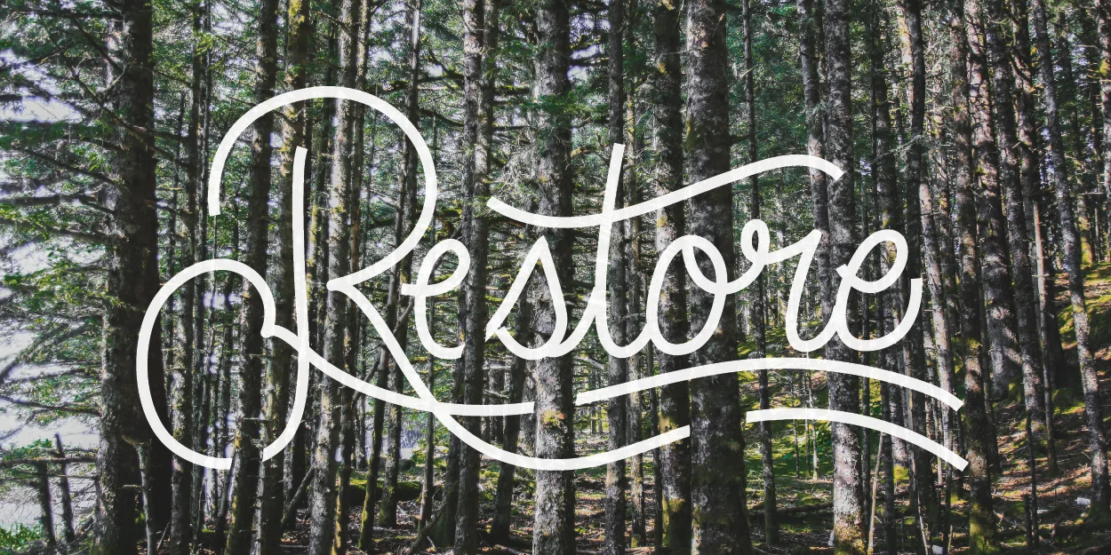 handlettering.jpg