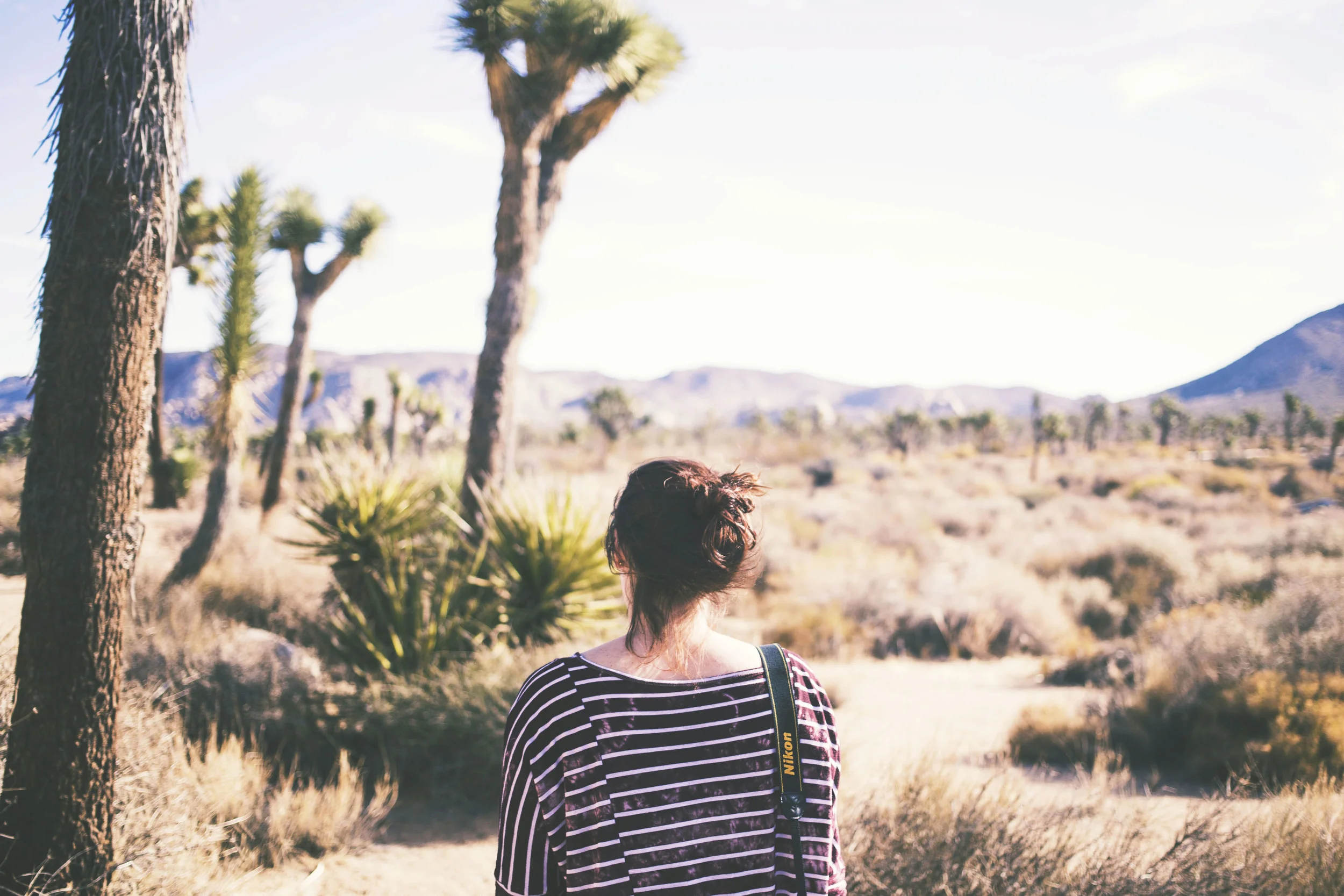 joshuatree.jpg