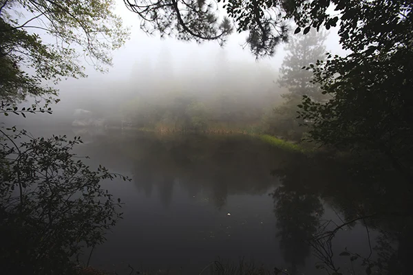 foggylake.jpg