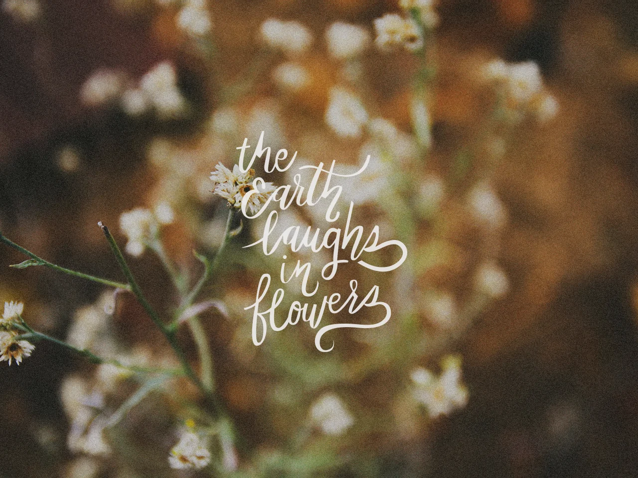 Cheers to You: Desktop Download