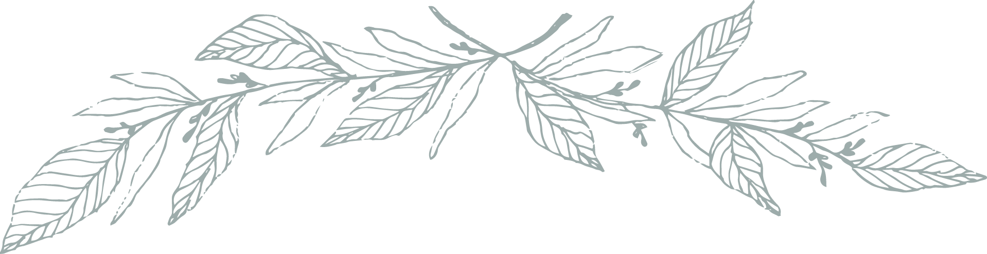 leaf.jpg