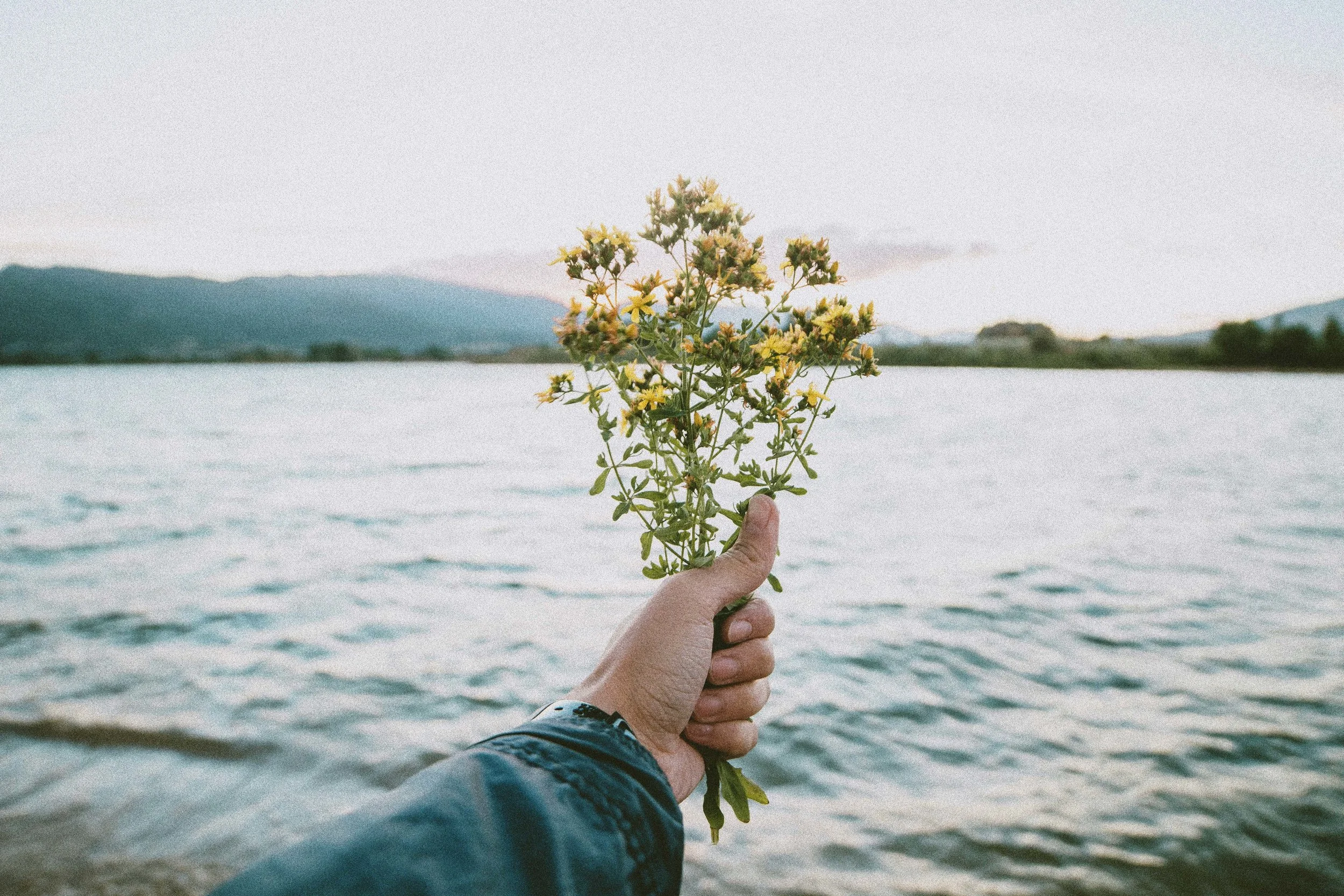 THE THING ABOUT DREAMS