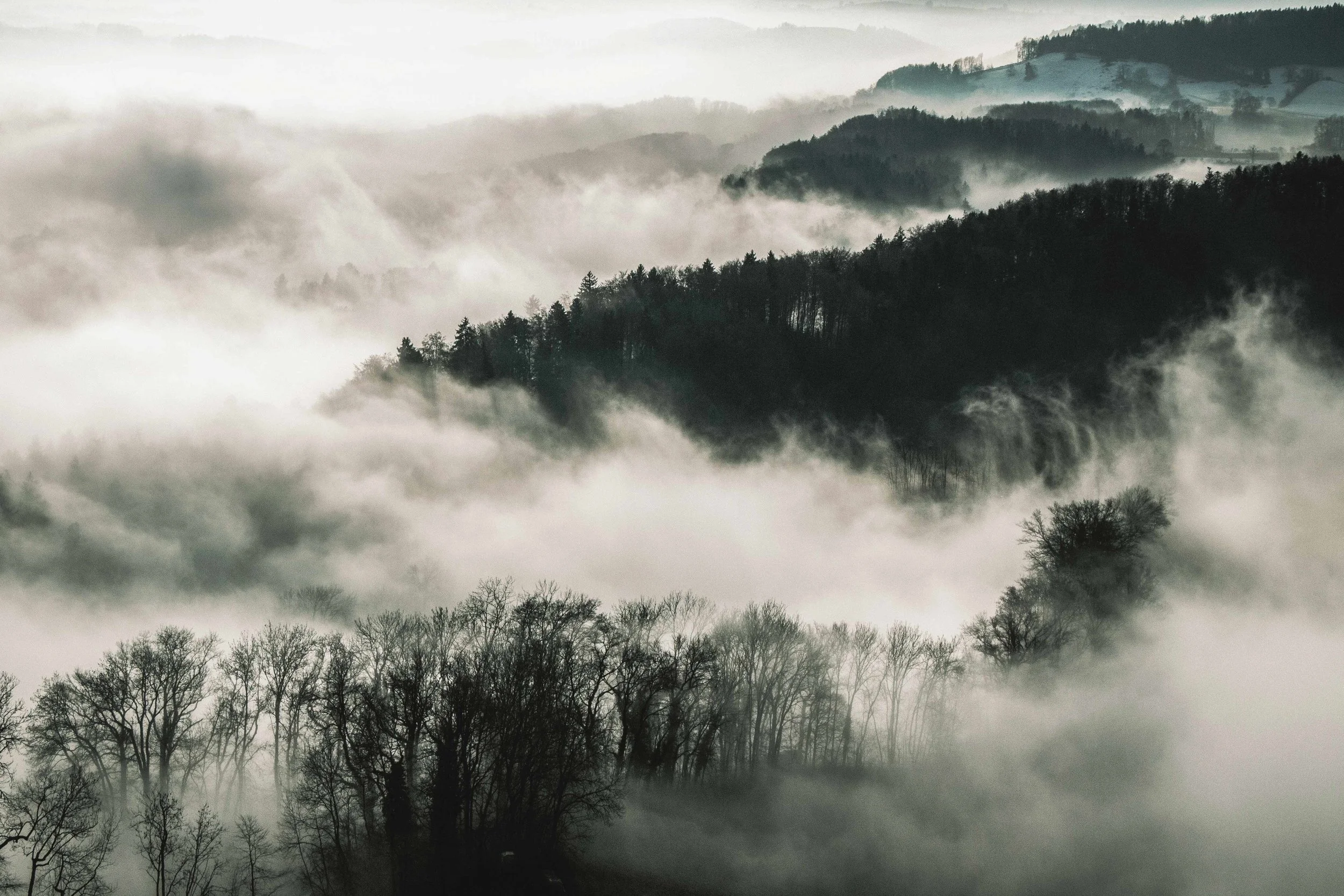 Service Over Satisfaction