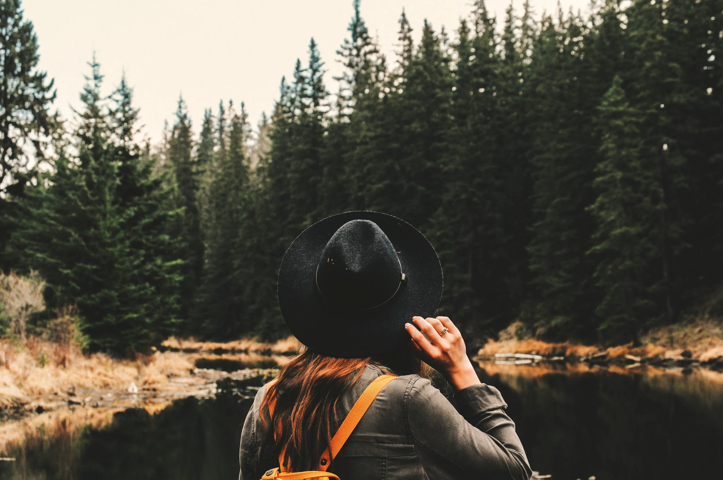 Dear Emotionally Abused