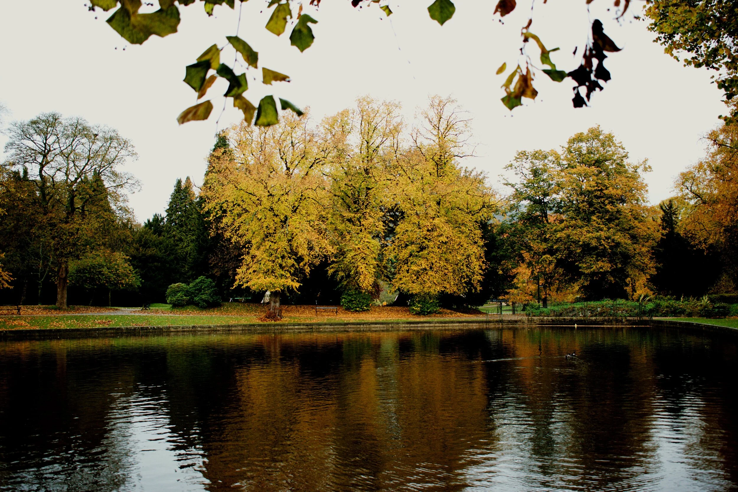 Sonder Around The Pond