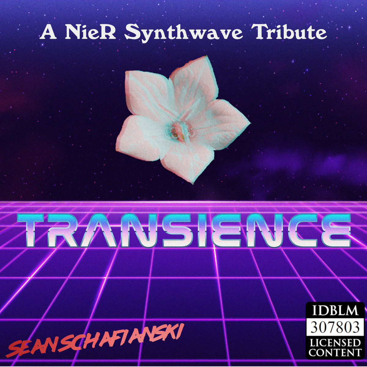 Transience: A NieR Synthwave Tribute