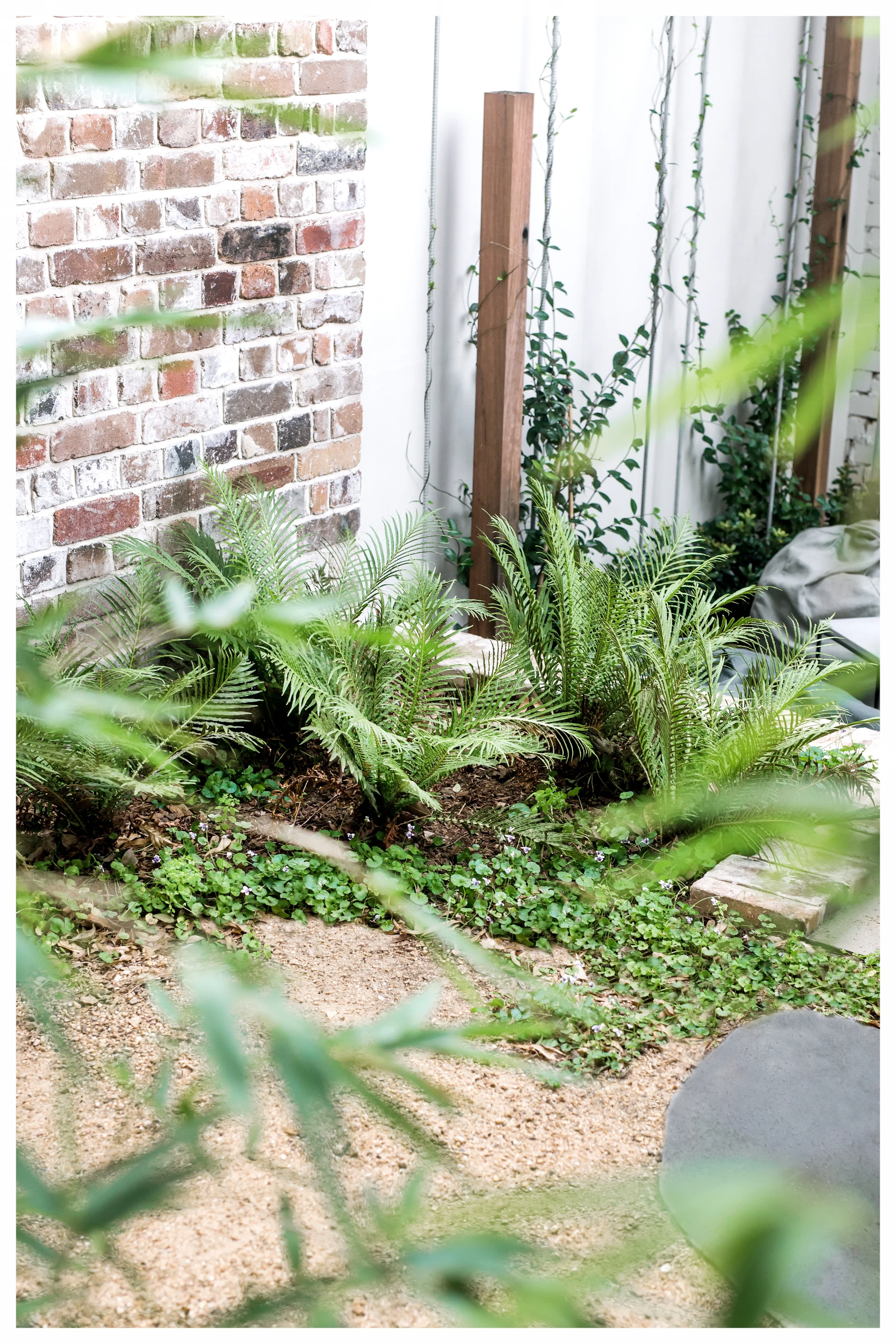 Fig Landscapes_022.jpg