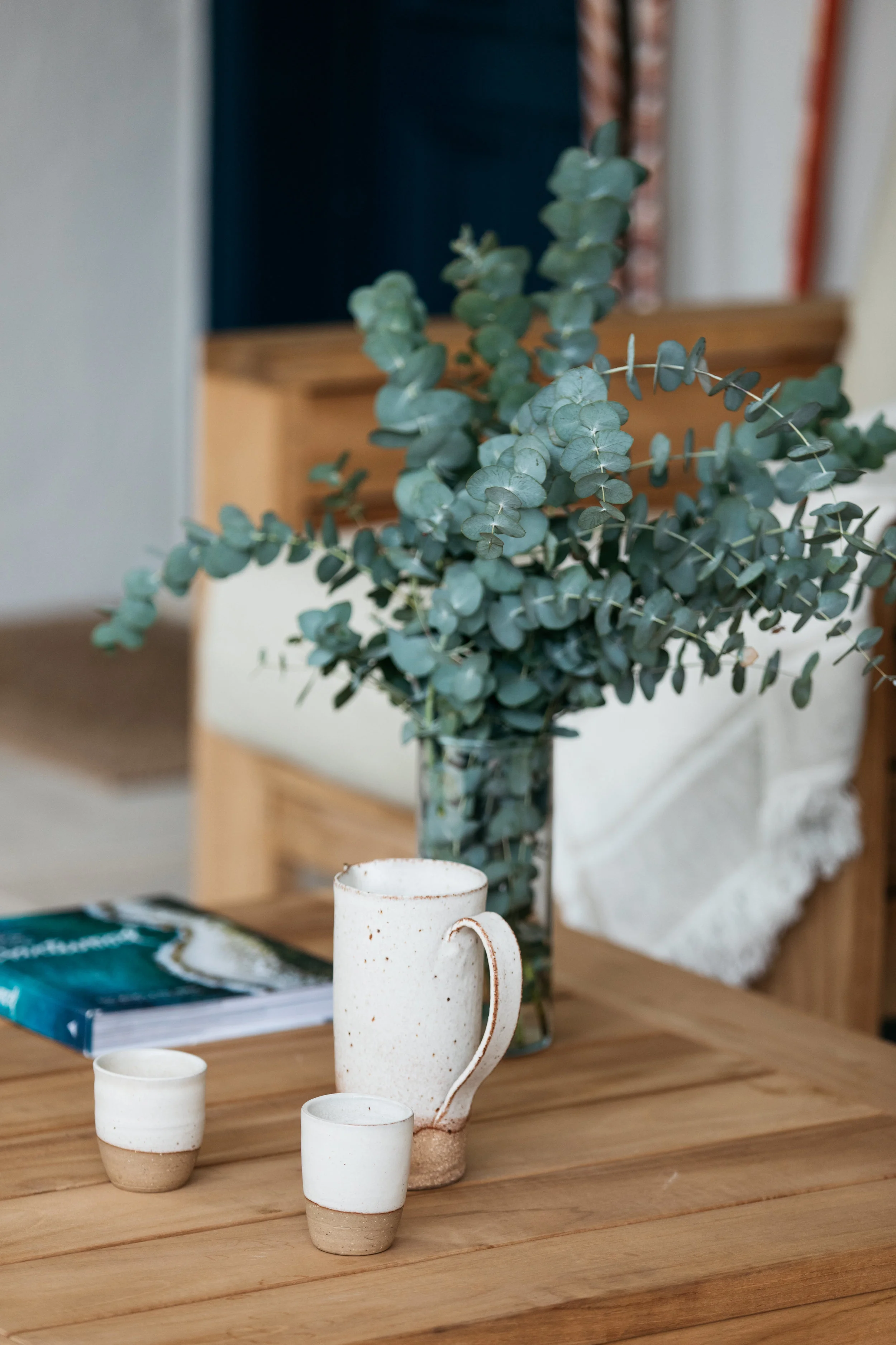eucalyptus.jpg