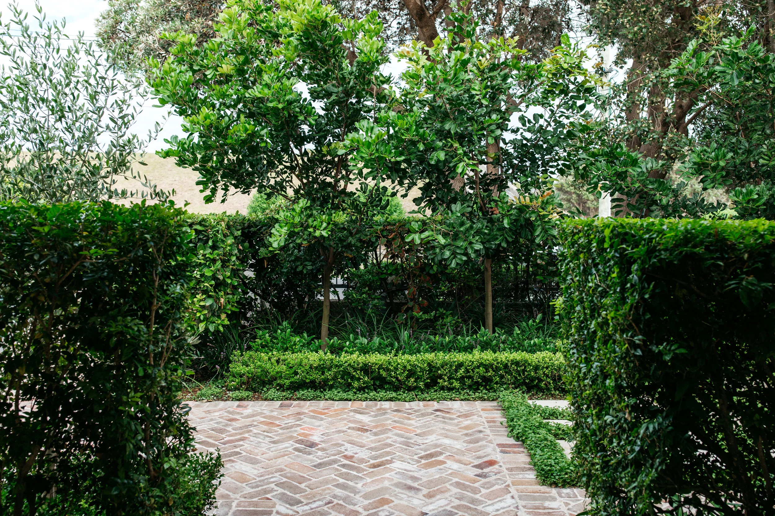 landscaper sydney.jpg
