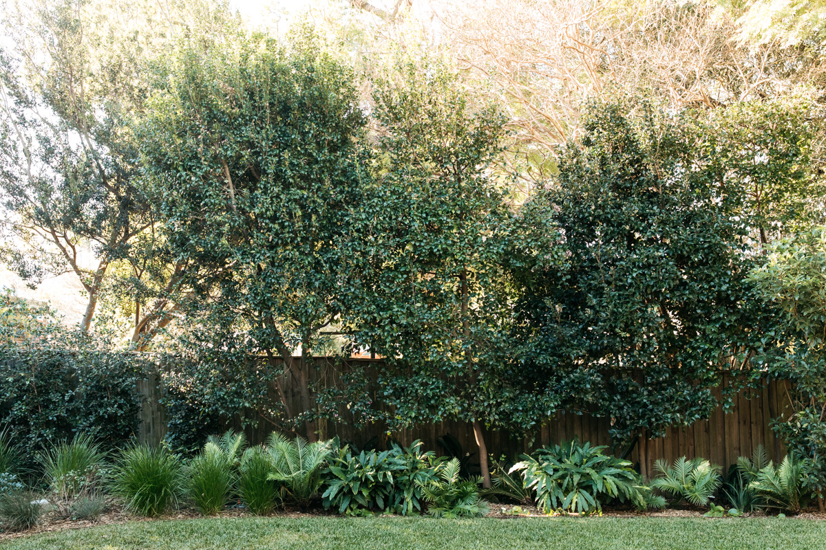 garden construction.jpg