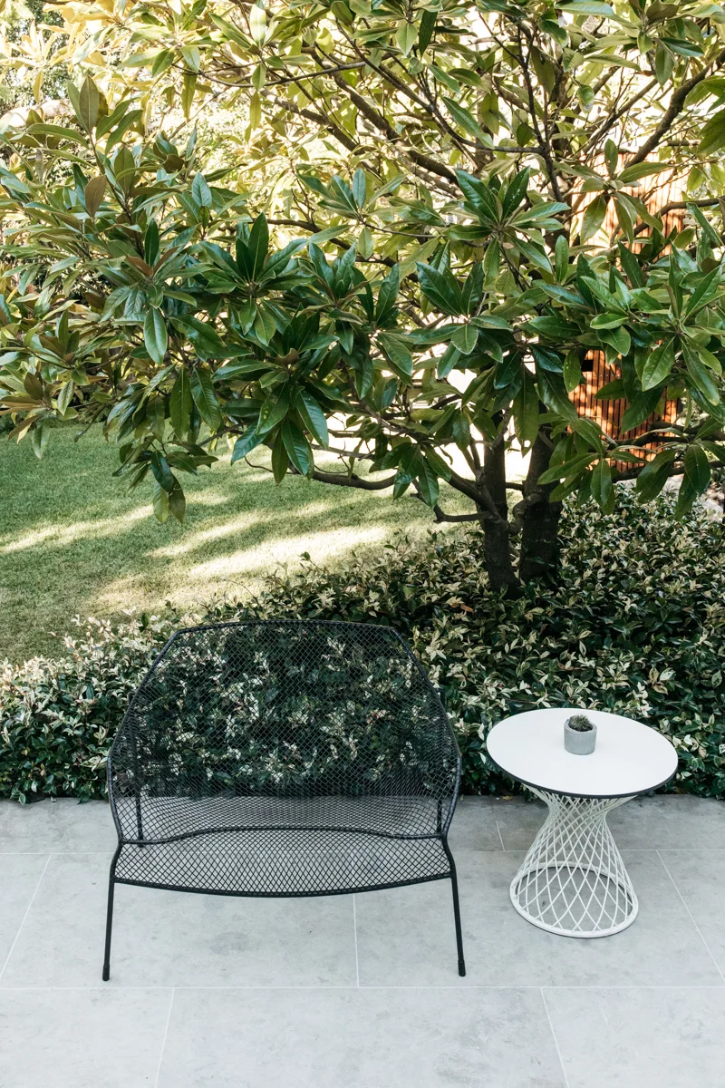 hunters hill landscape design.jpg