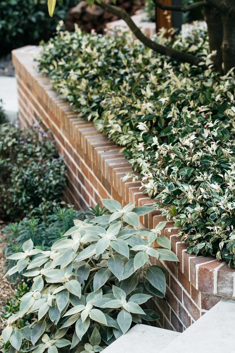 recycled brick retaining wall.jpg