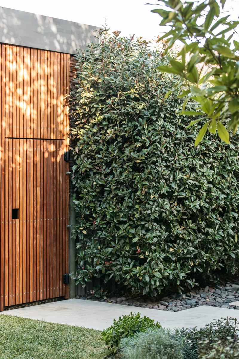 Timber garden studio.jpg