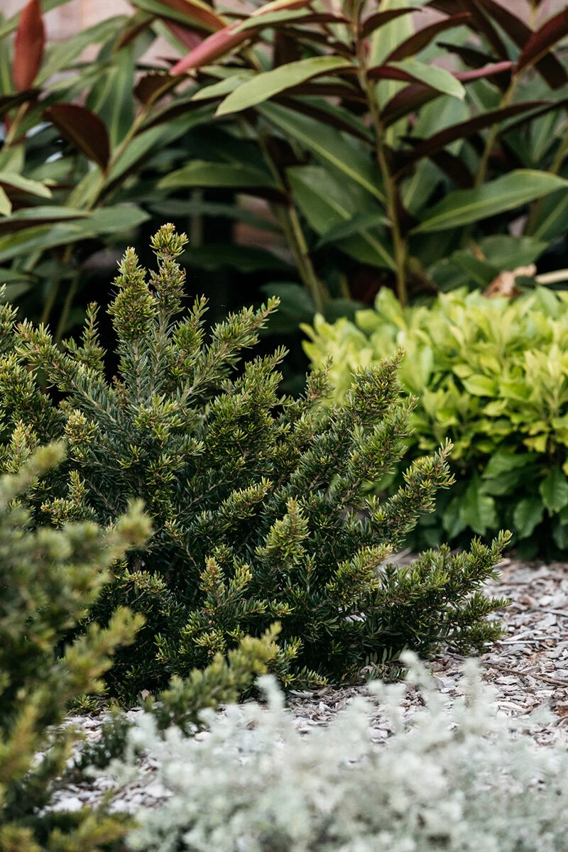 Binna Burra Landscaping - 69_Landscape Design.jpg