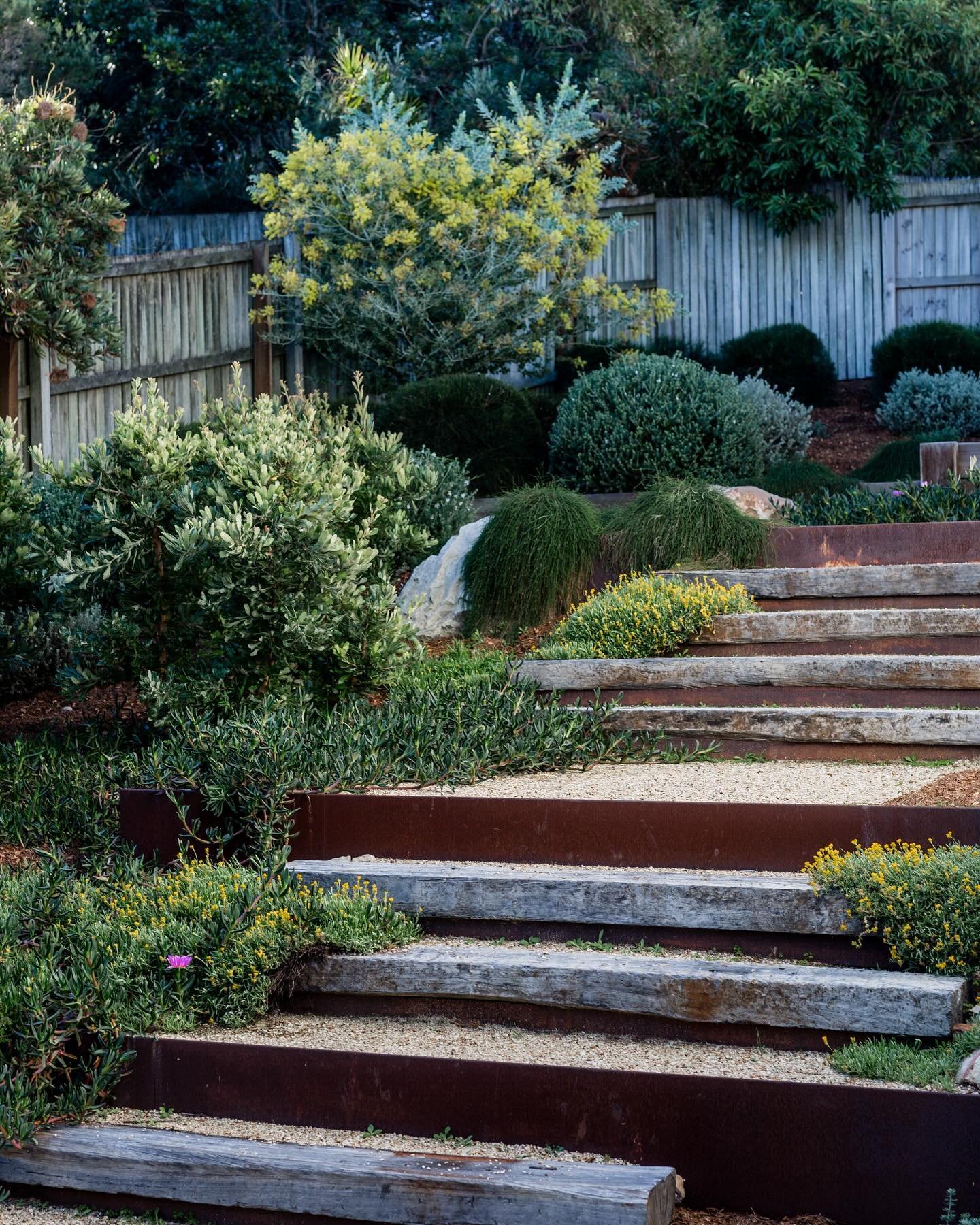 I&rsquo;ve built a few corten and sleeper stairs recently which reminded me of this project at Noosa - still love the irregularity of the treads, it allows for plants to undulate on either side.