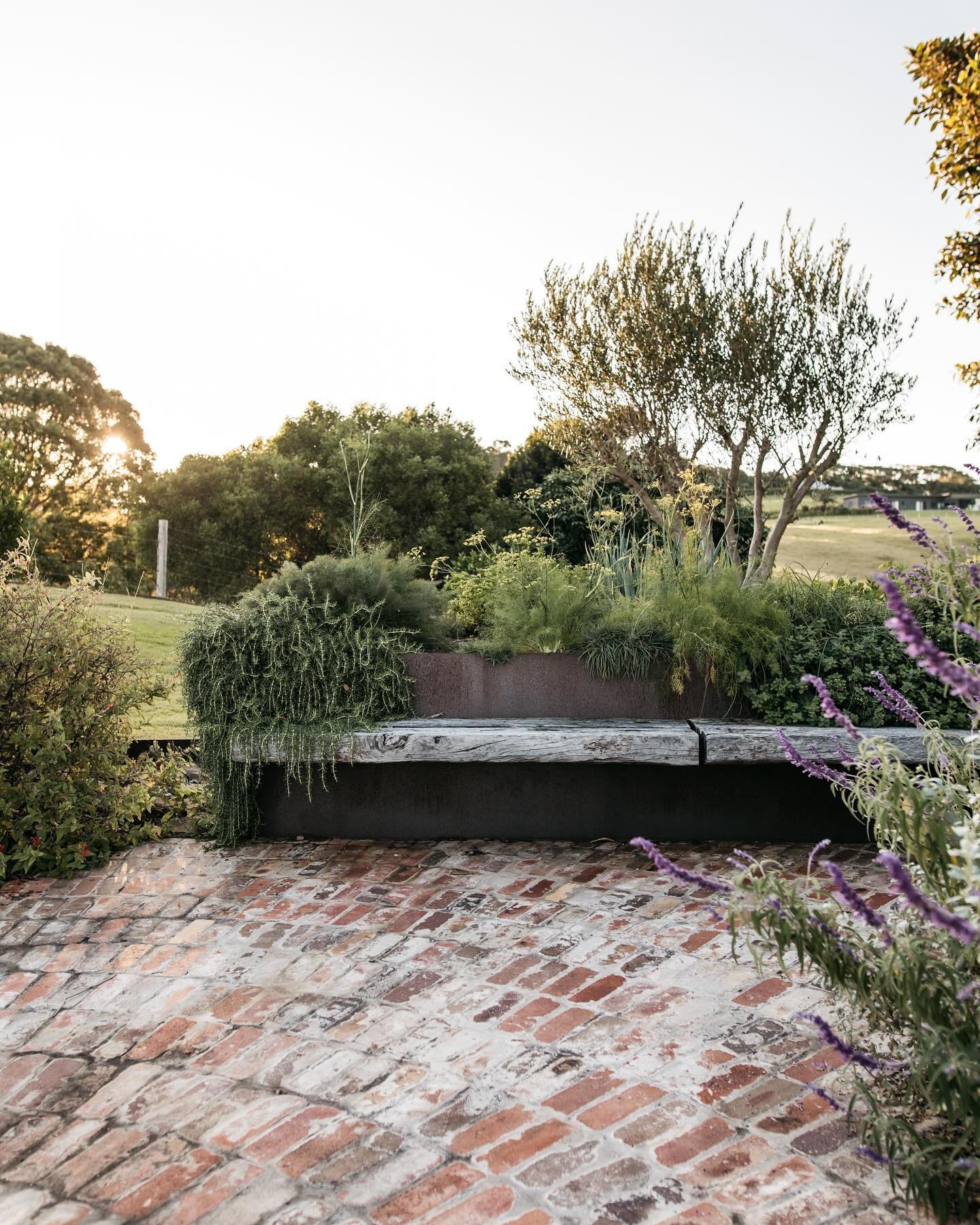 We laid these recycled bricks on edge, on a wet bed, over reinforced concrete slab - then grouted with sand and cement. 6 mm corten steel encases the paving and forms the step riser.