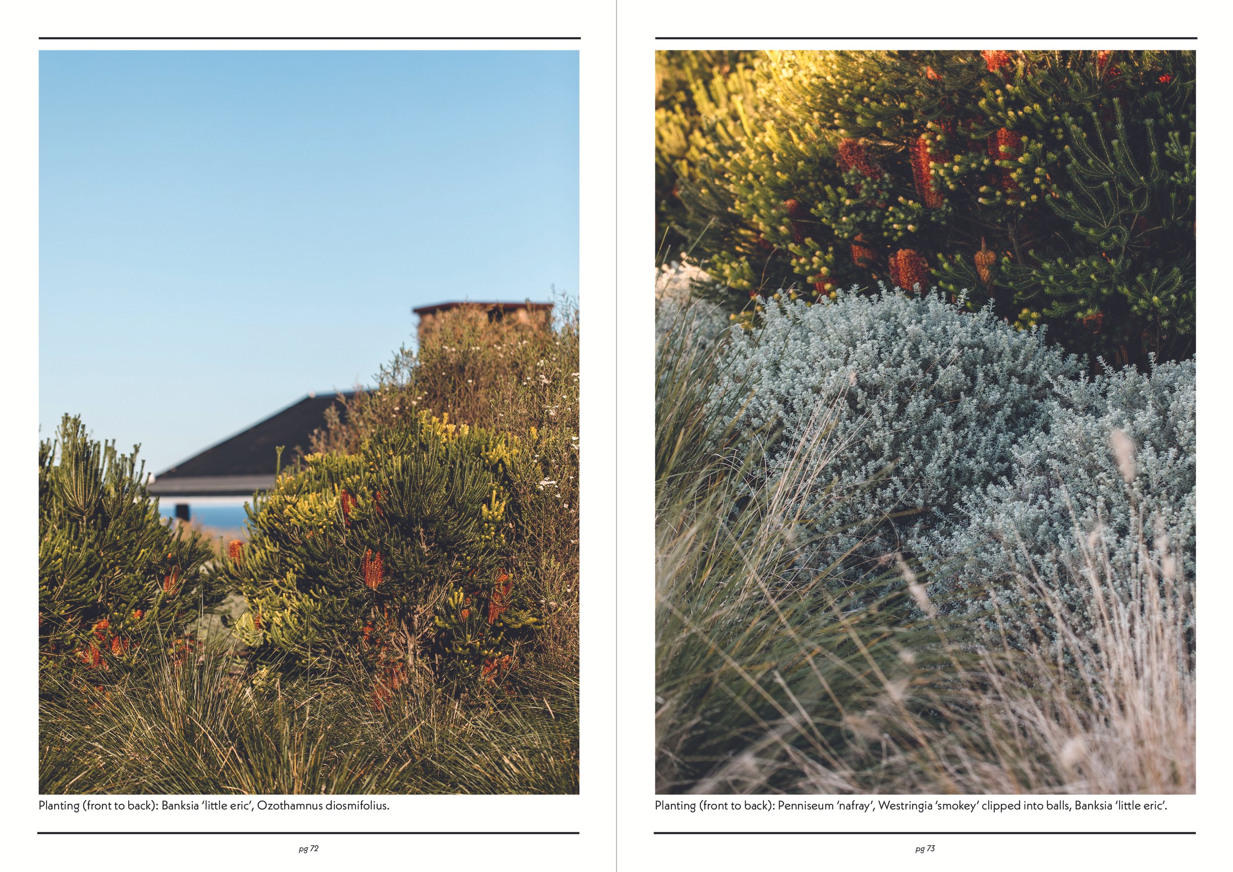 Guide to better gardens_planting_2.jpg