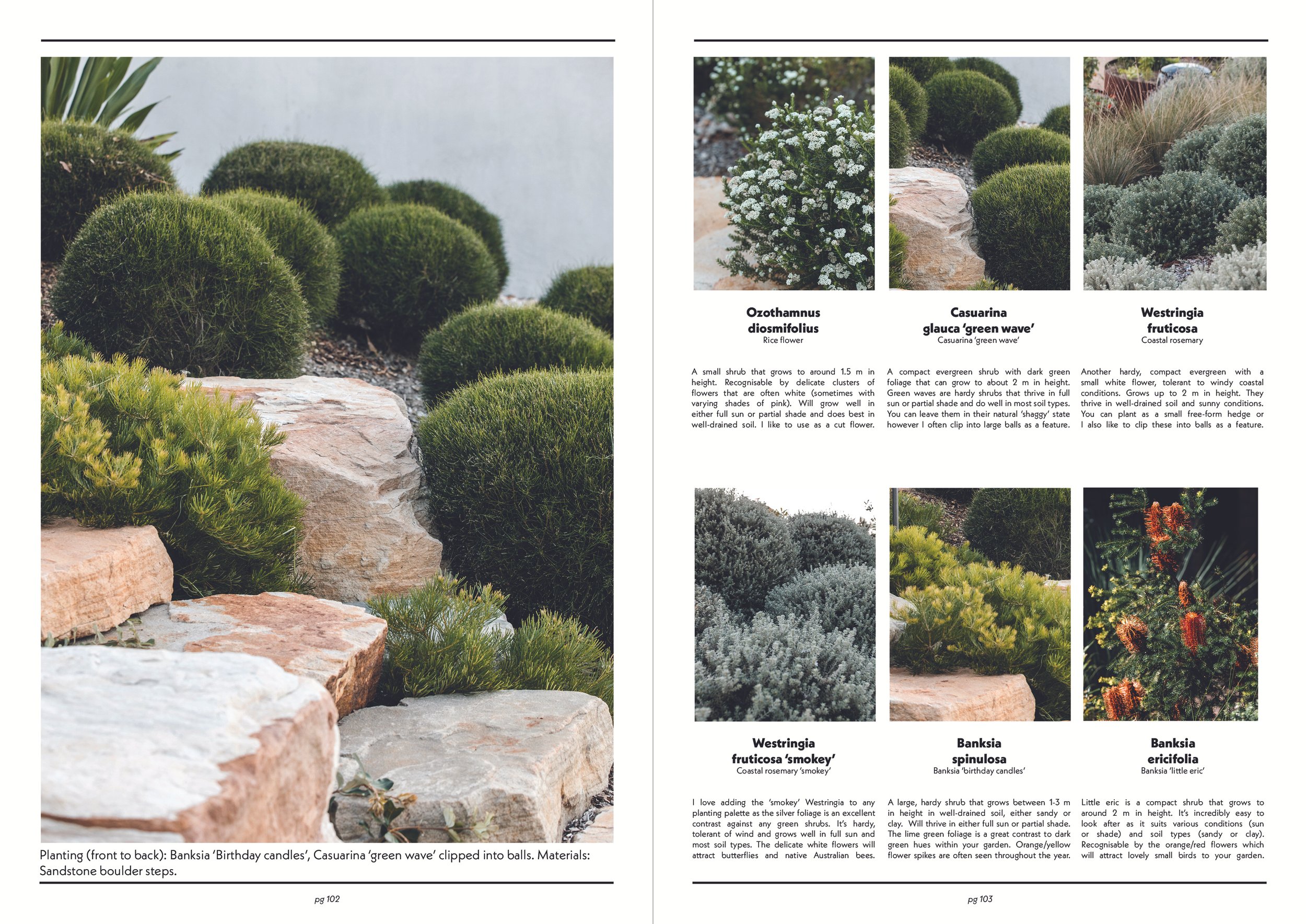 Guide to better gardens_shubs&grasses_2.jpg