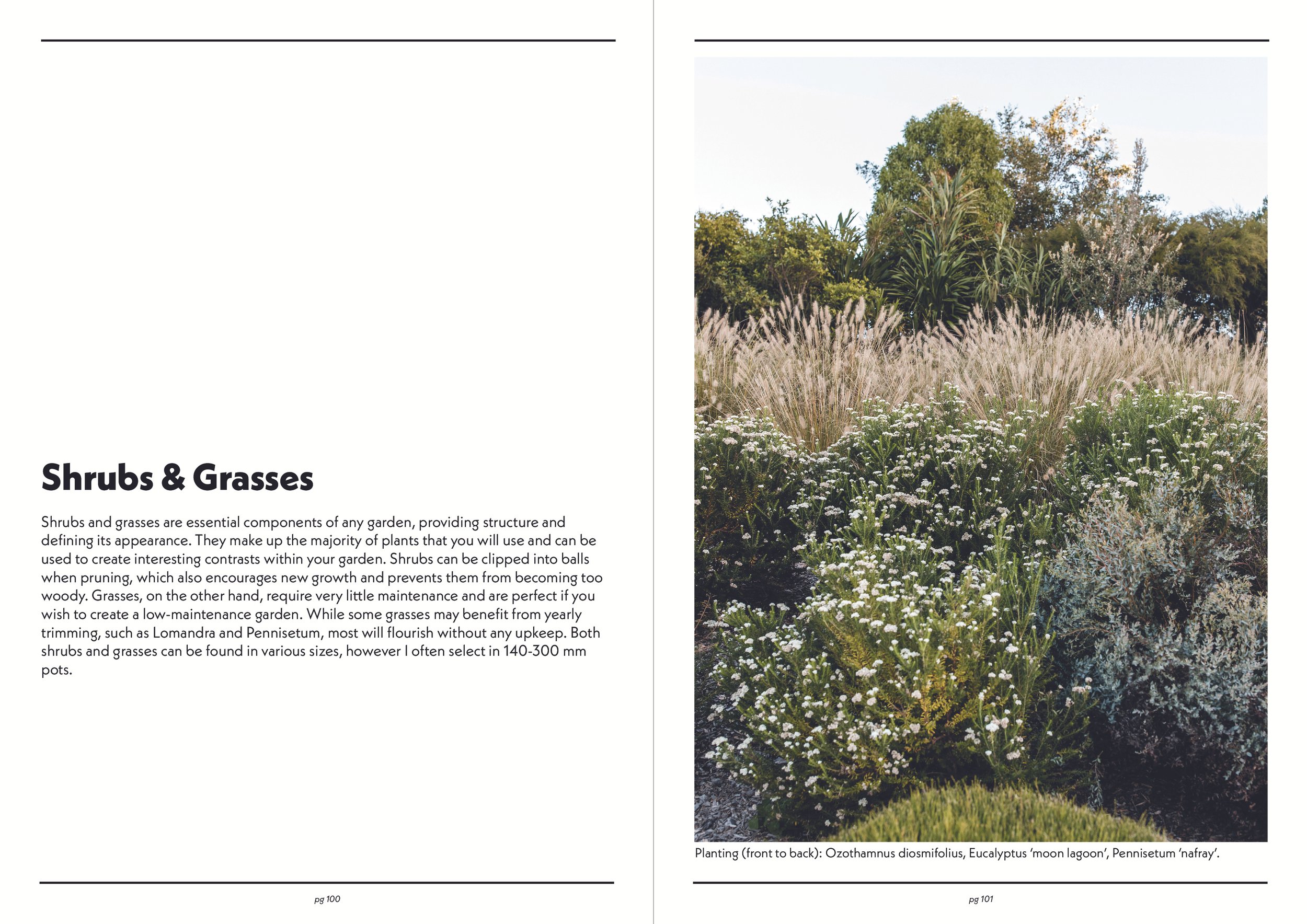 Guide to better gardens_shrubs&grasses.jpg