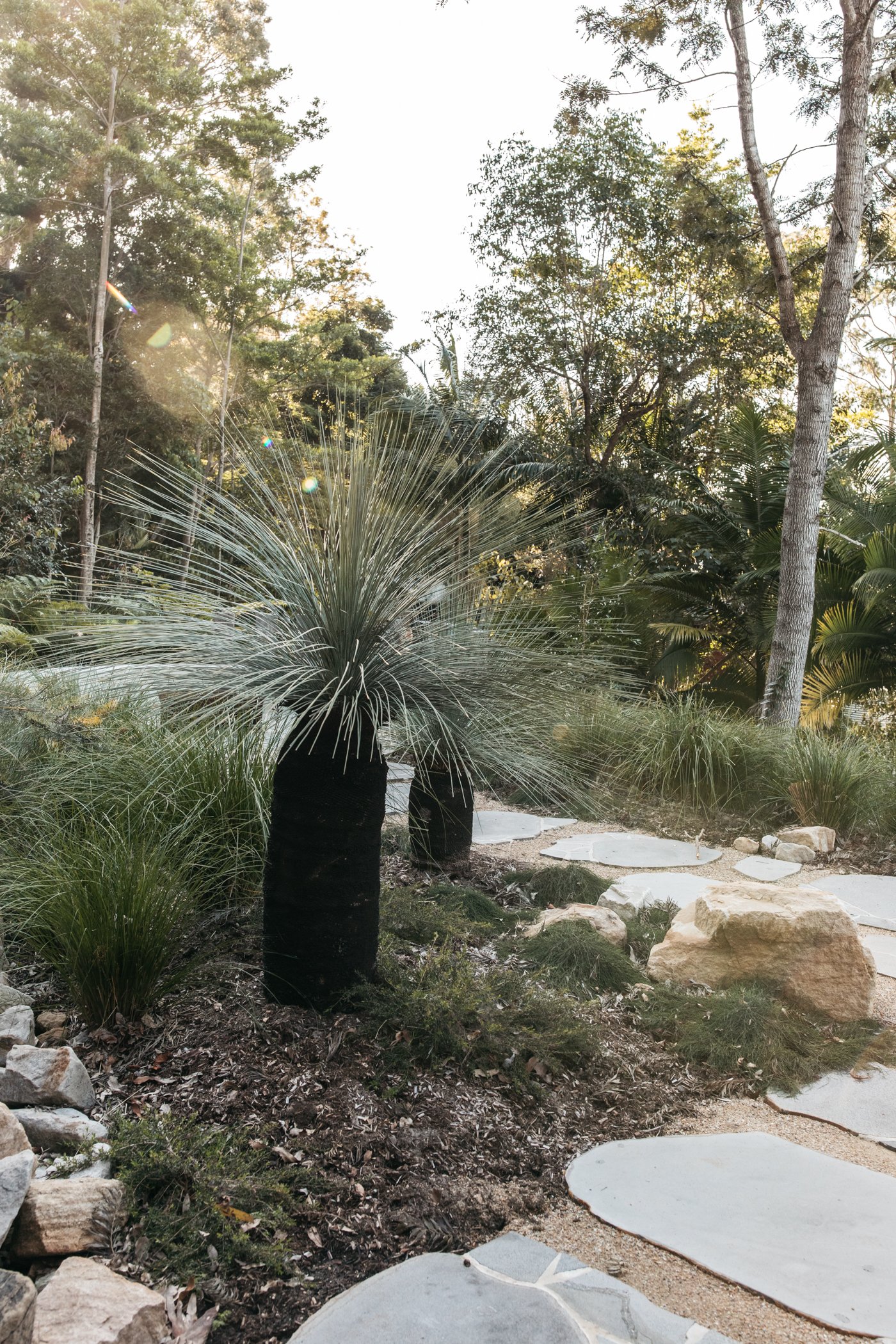 Fig Landscapes Garden Design and Build_Byron Bay_Ewingsdale9.jpg
