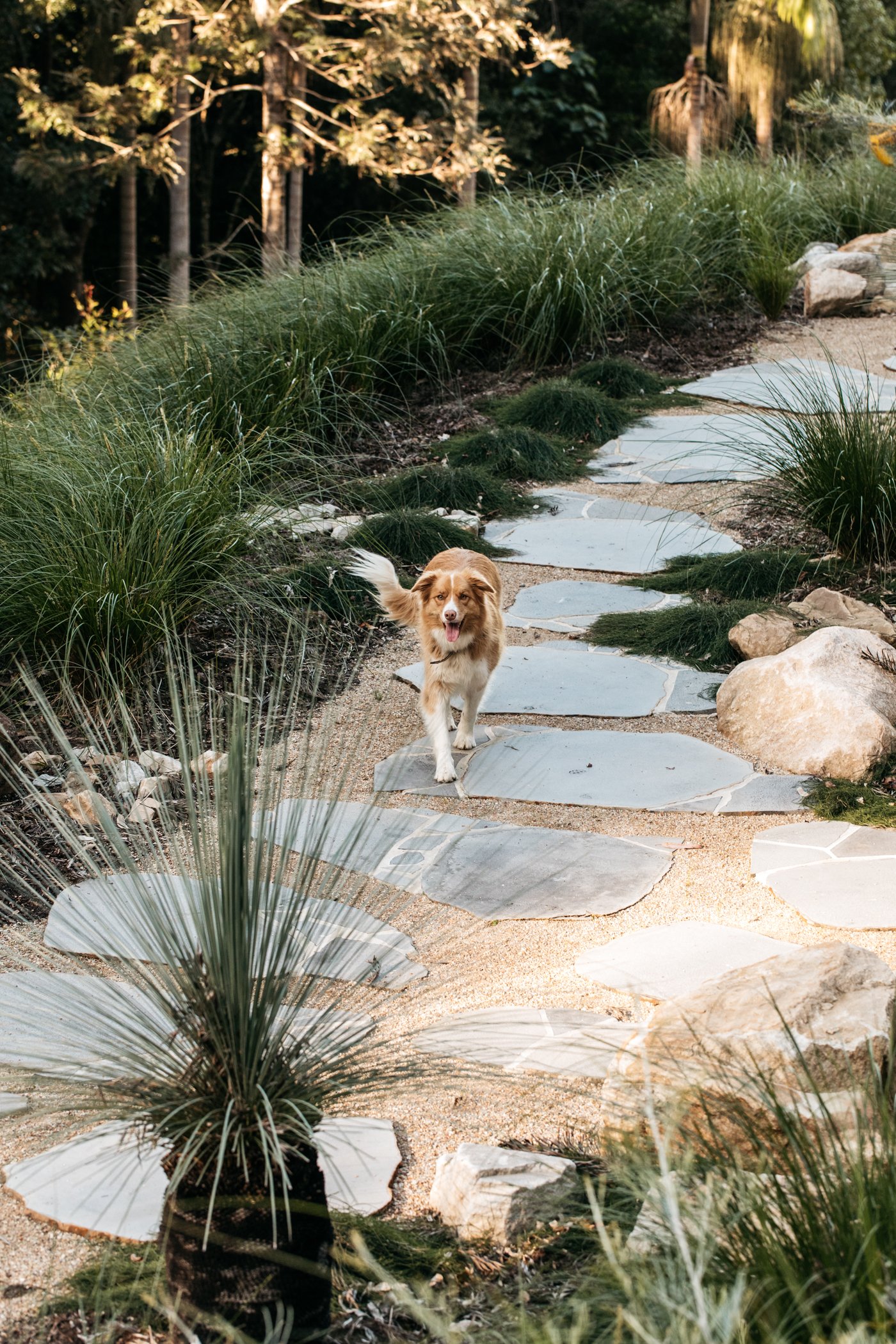 Fig Landscapes Garden Design and Build_Byron Bay_Ewingsdale41.jpg