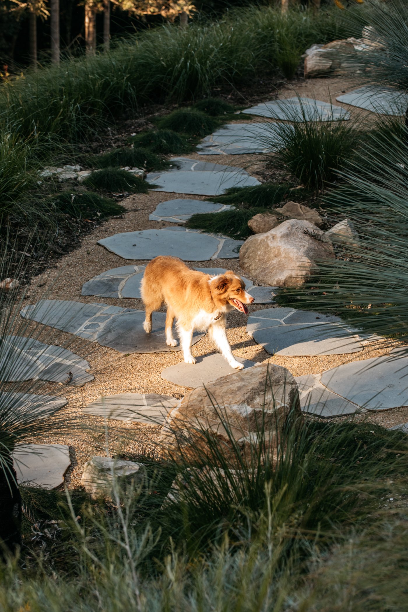 Fig Landscapes Garden Design and Build_Byron Bay_Ewingsdale42.jpg