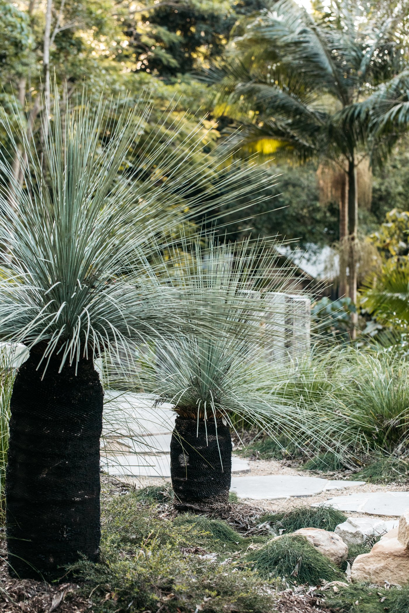 Fig Landscapes Garden Design and Build_Byron Bay_Ewingsdale52.jpg