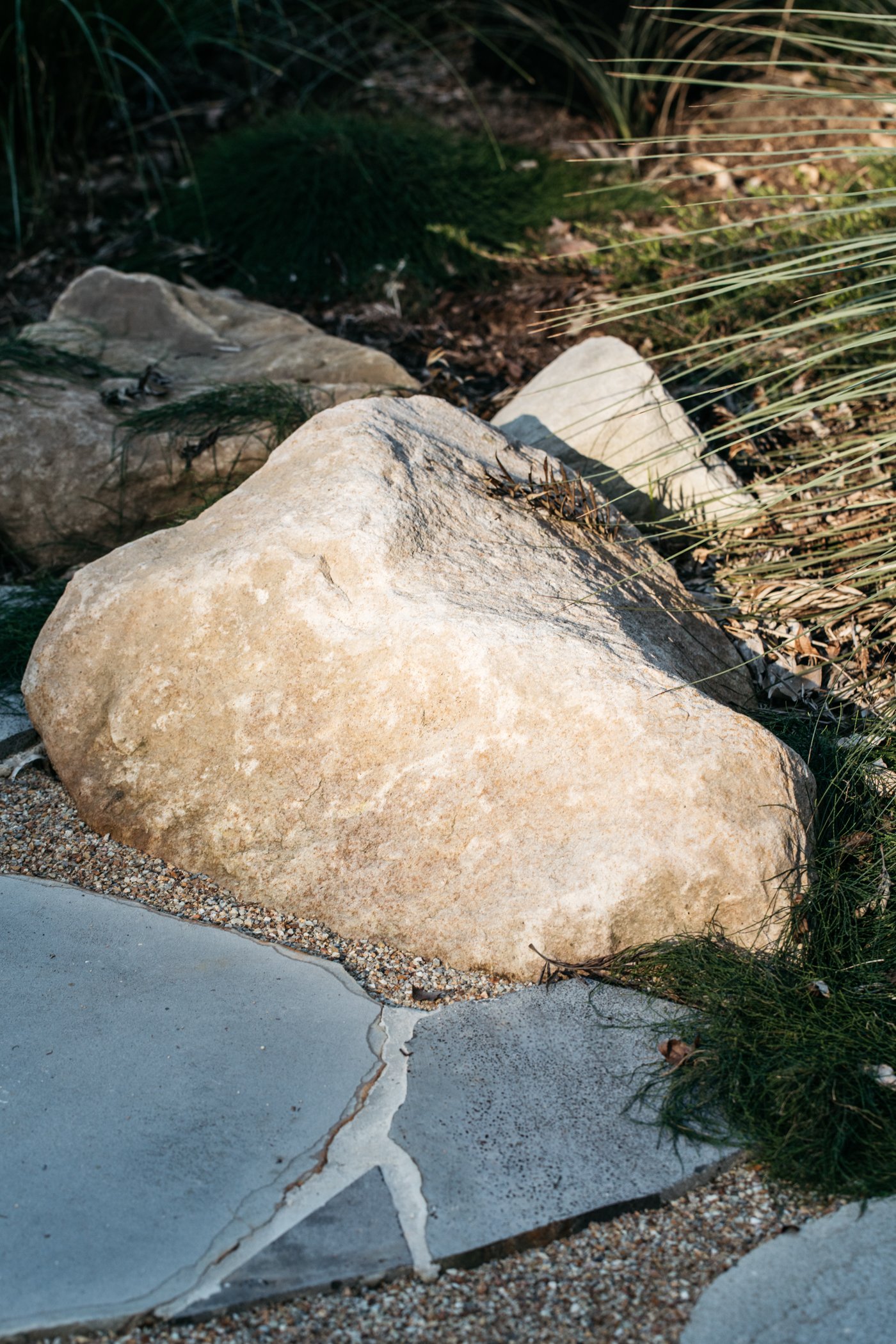 Fig Landscapes Garden Design and Build_Byron Bay_Ewingsdale57.jpg