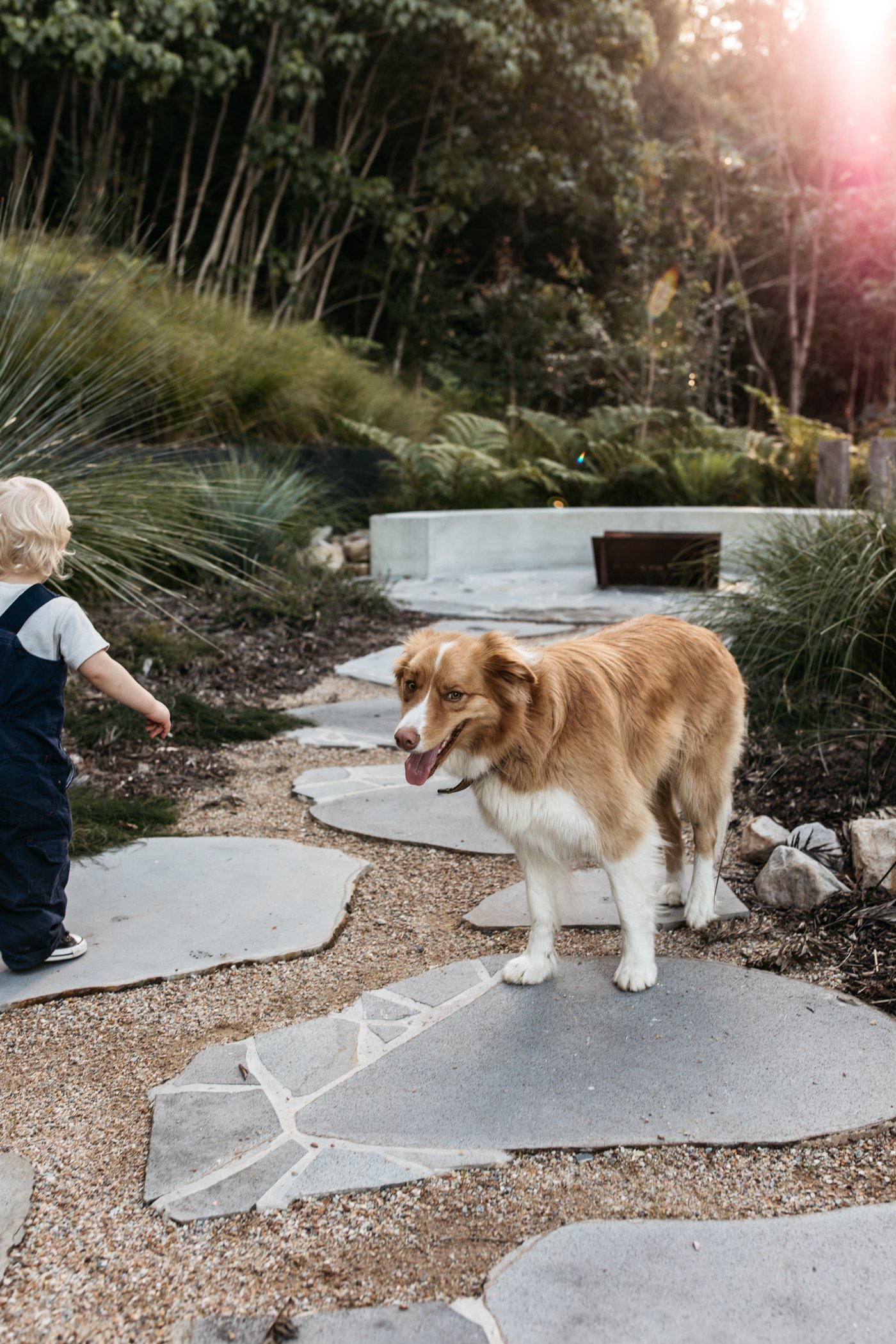 Fig Landscapes Garden Design and Build_Byron Bay_Ewingsdale60.jpg