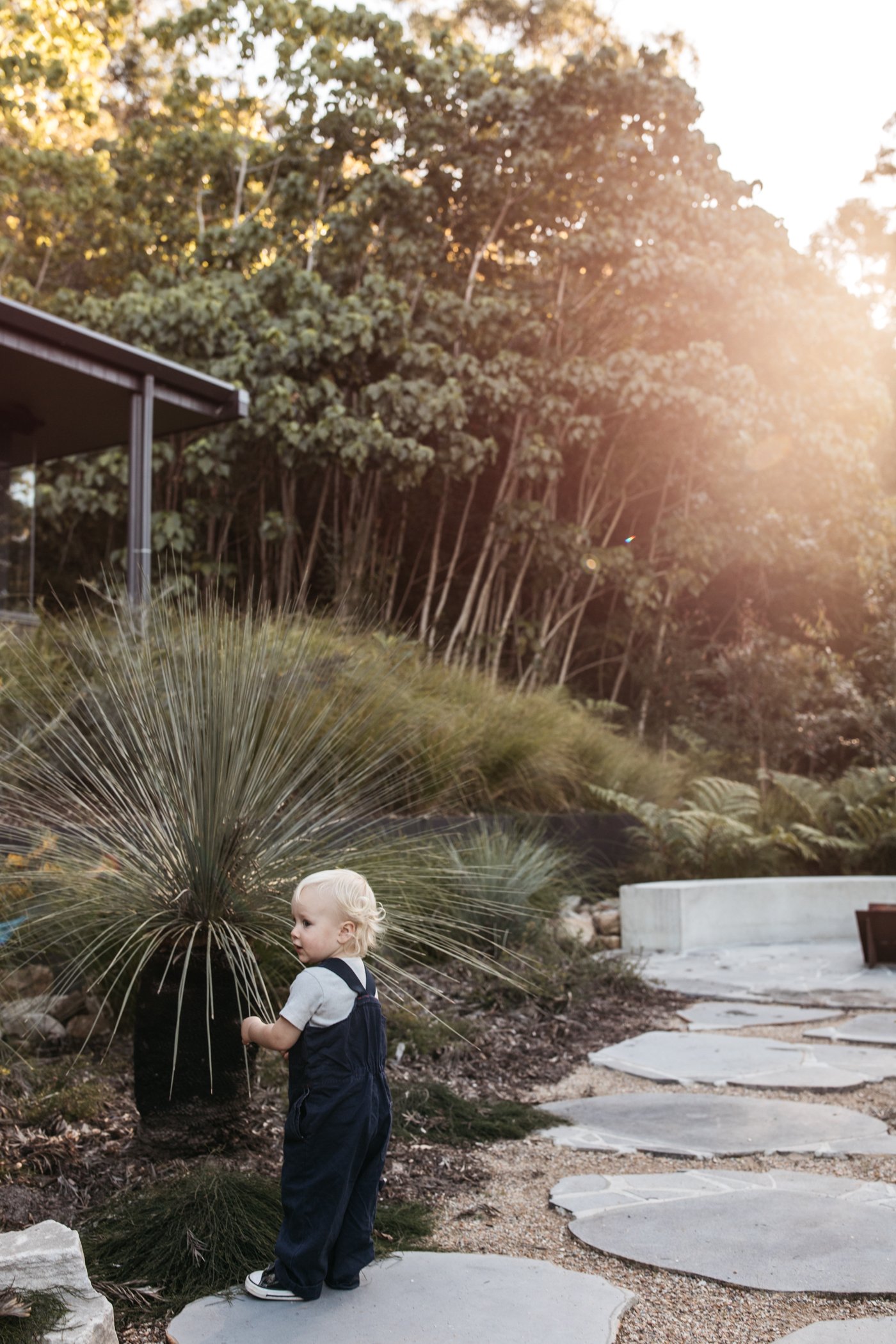 Fig Landscapes Garden Design and Build_Byron Bay_Ewingsdale62.jpg