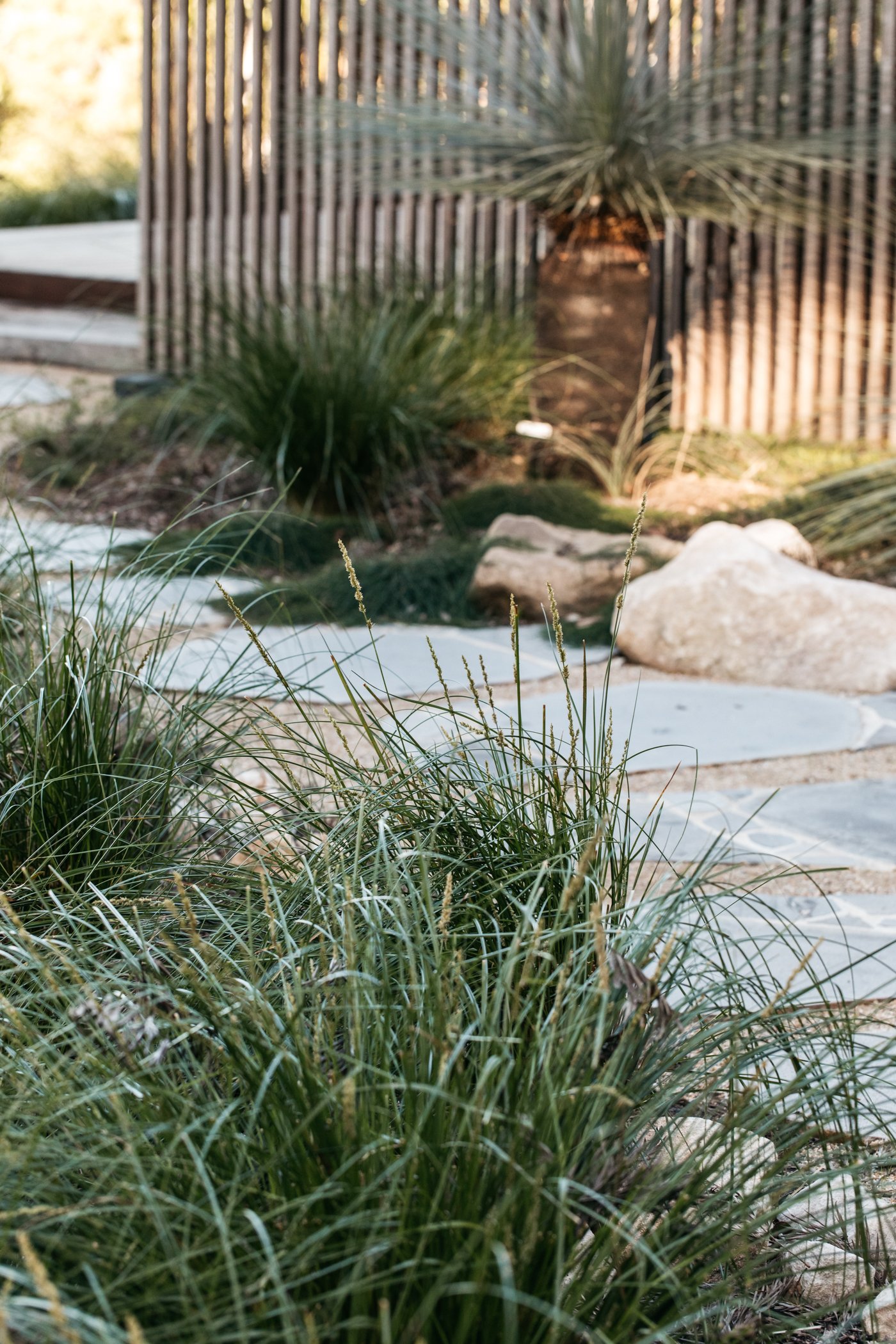 Fig Landscapes Garden Design and Build_Byron Bay_Ewingsdale64.jpg