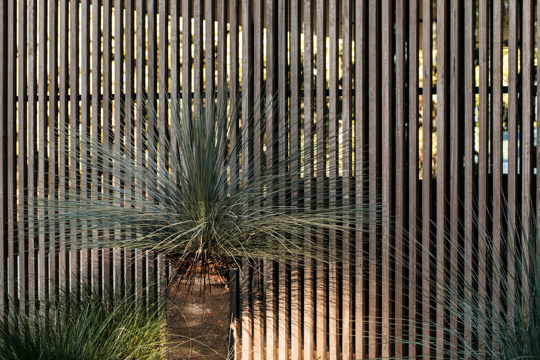 Fig Landscapes Garden Design and Build_Byron Bay_Ewingsdale67.jpg