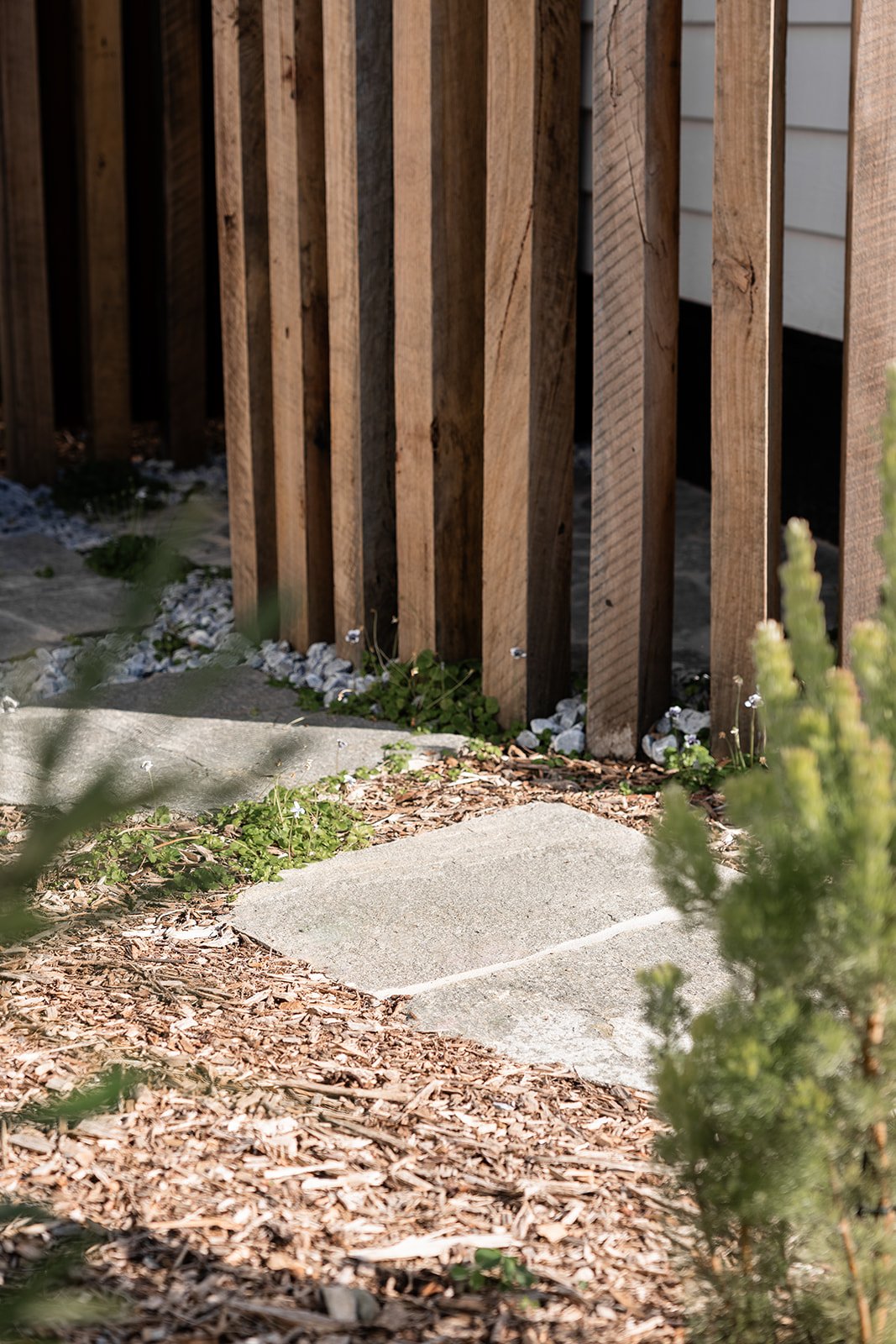 Fig Landscapes Garden Design and Build_Northern Rivers_Hastings Point6.jpg