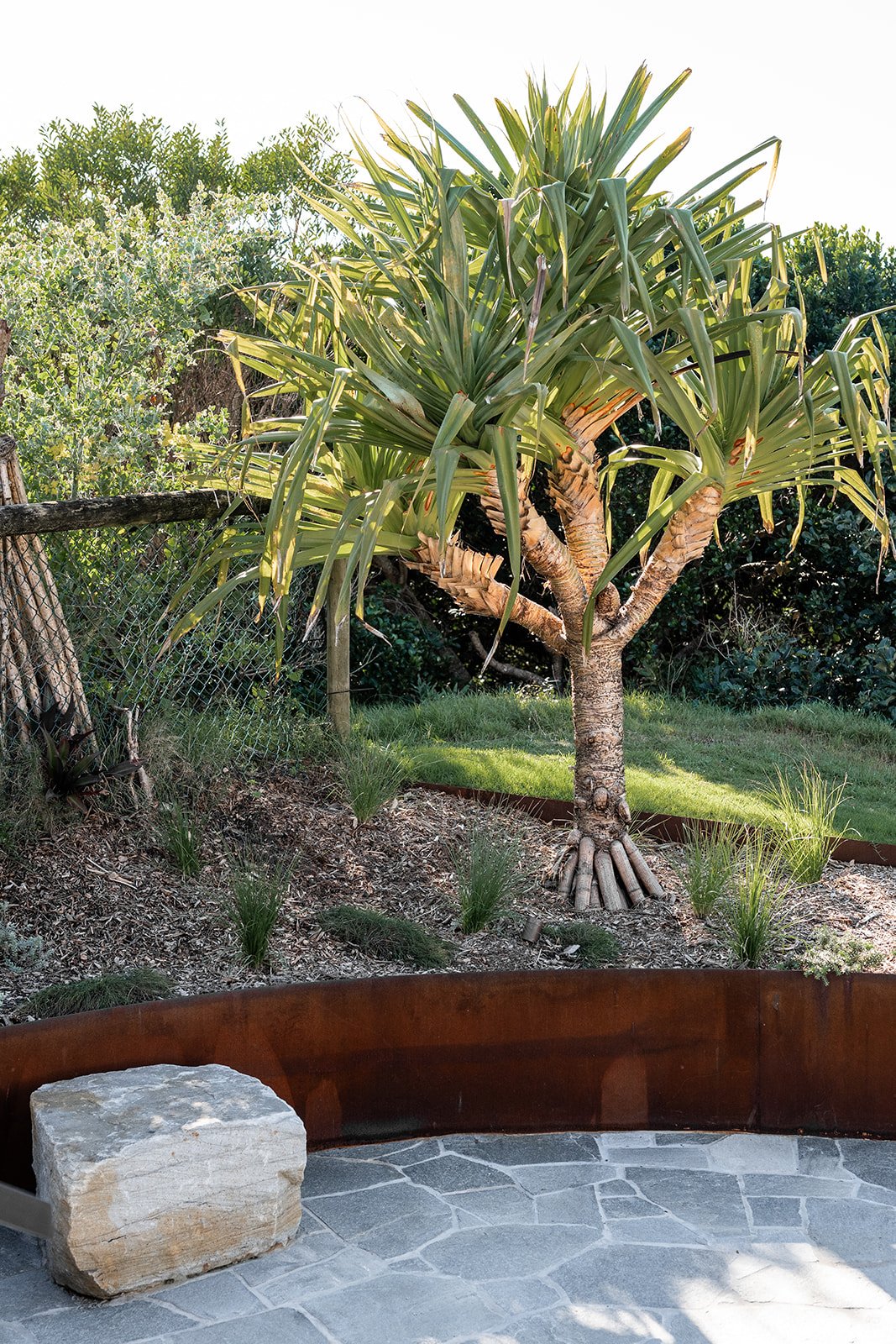 Fig Landscapes Garden Design and Build_Northern Rivers_Hastings Point8.jpg