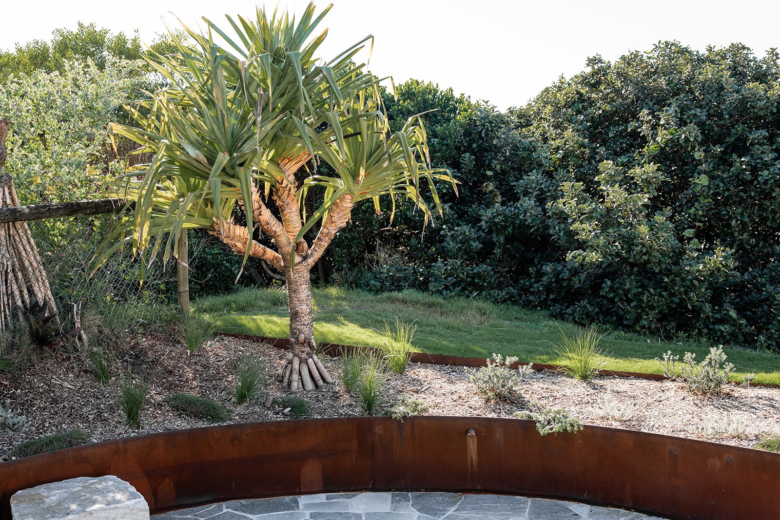 Fig Landscapes Garden Design and Build_Northern Rivers_Hastings Point9.jpg