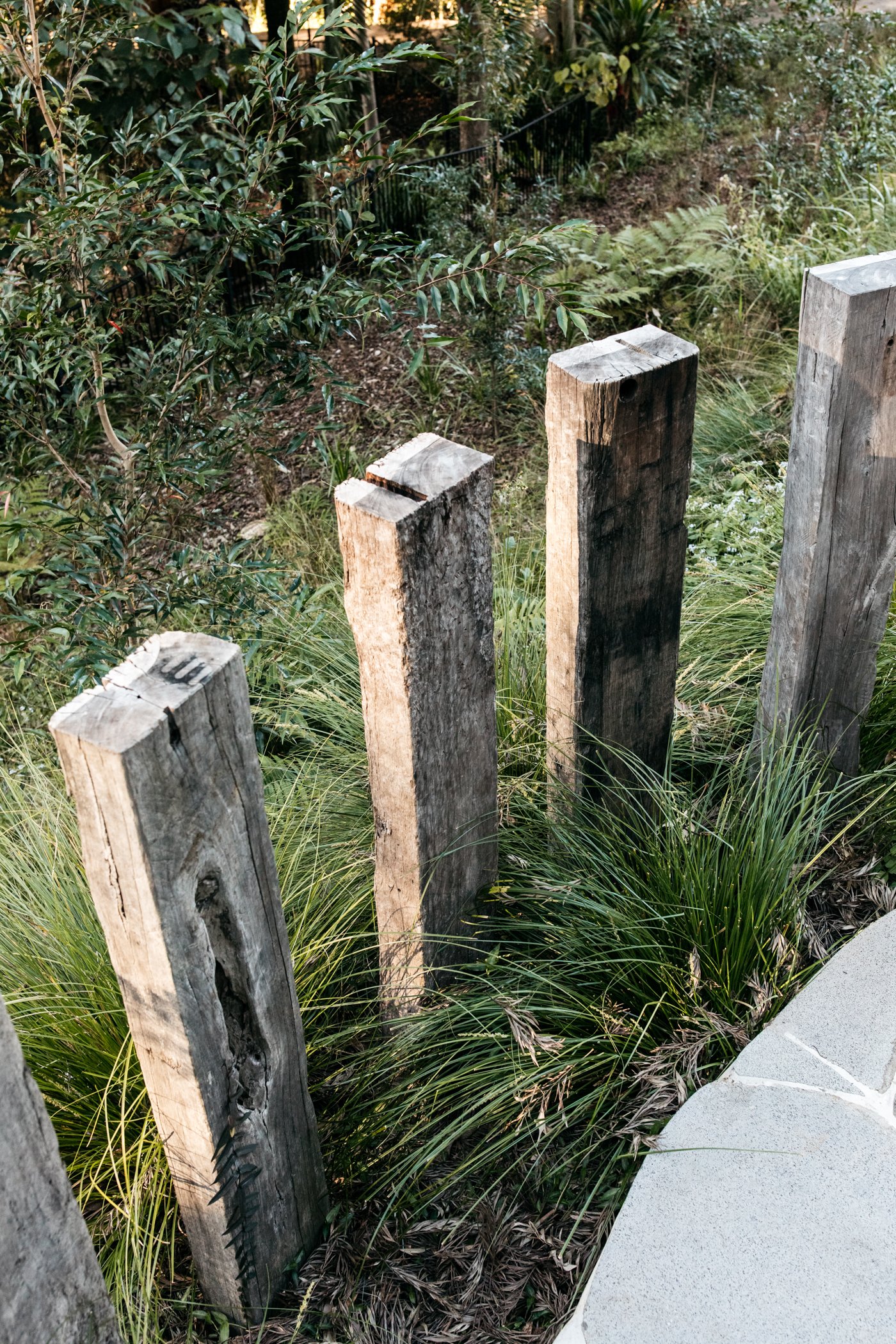 Fig Landscapes Garden Design and Build_Byron Bay_Ewingsdale73.jpg
