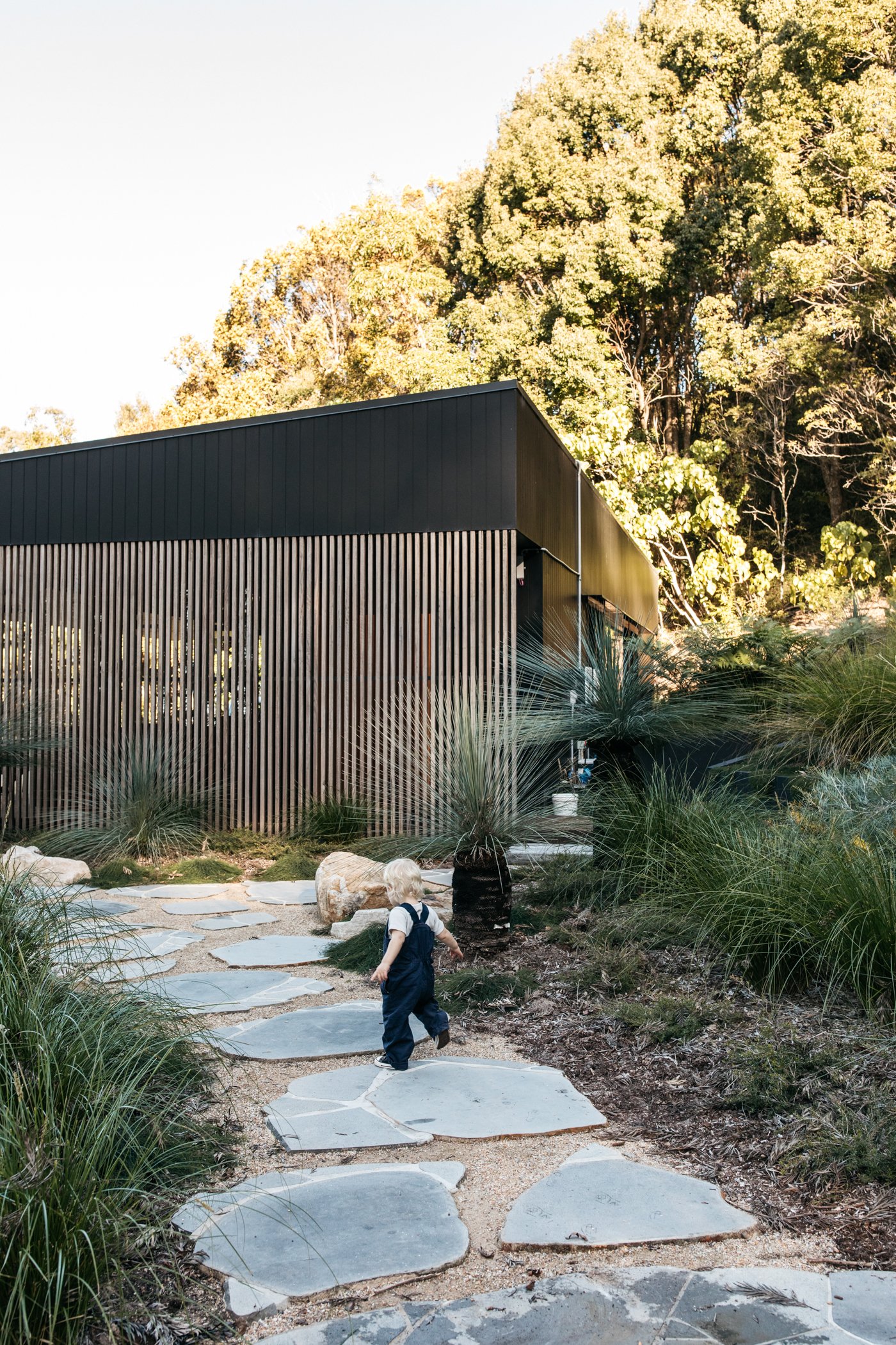 Fig Landscapes Garden Design and Build_Byron Bay_Ewingsdale75.jpg